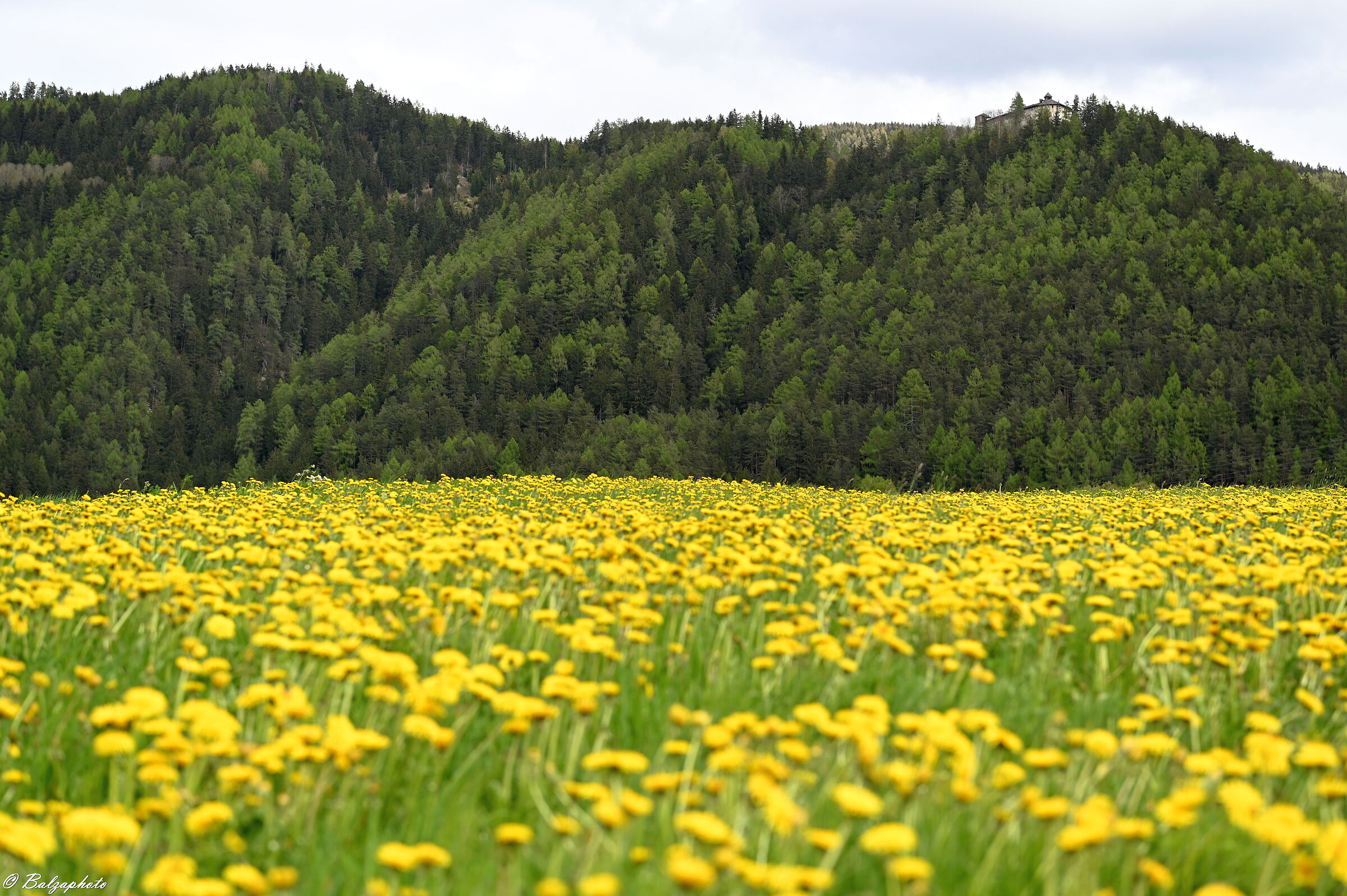 L`Alto Adige é in zona gialla
