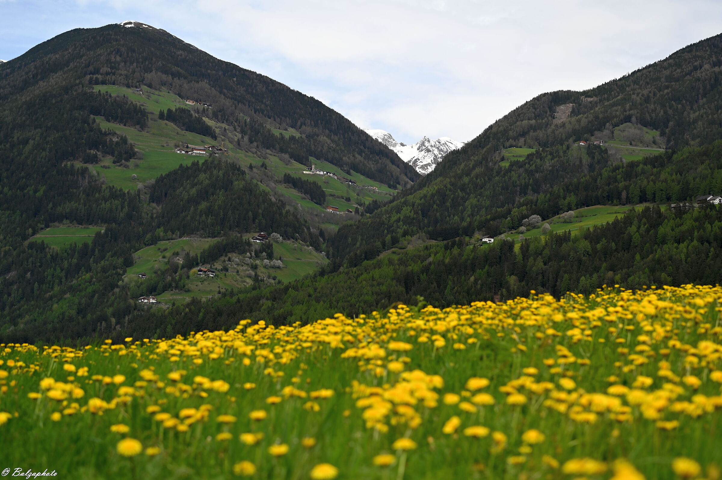 L`Alto Adige é in zona gialla e il bianco è lo...