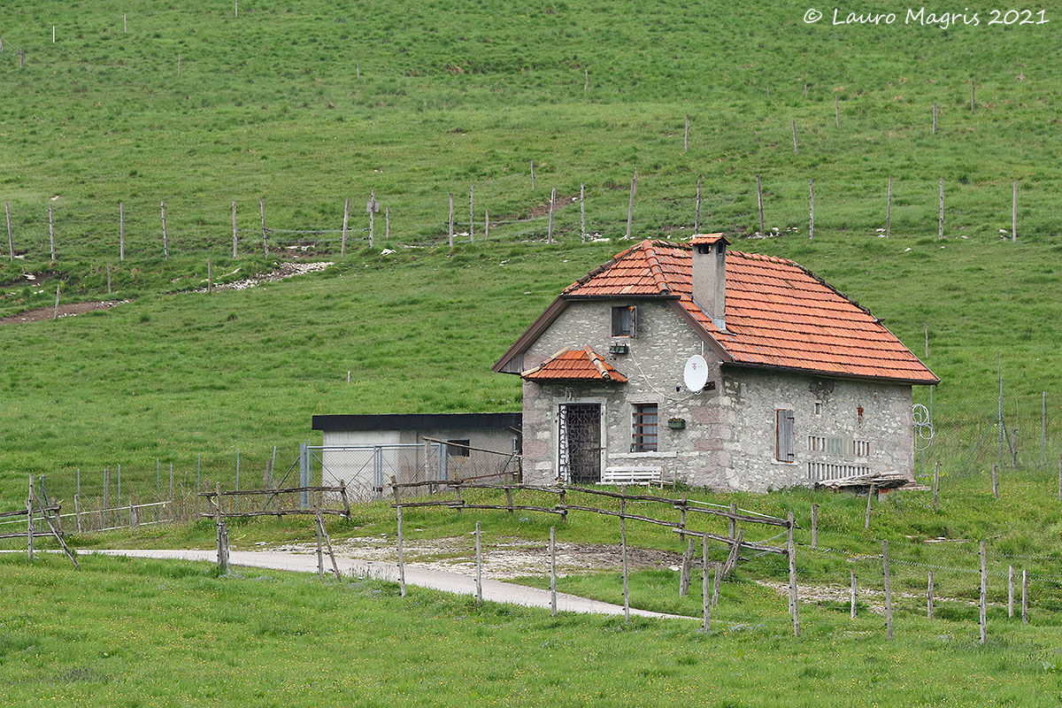 Fences and protections