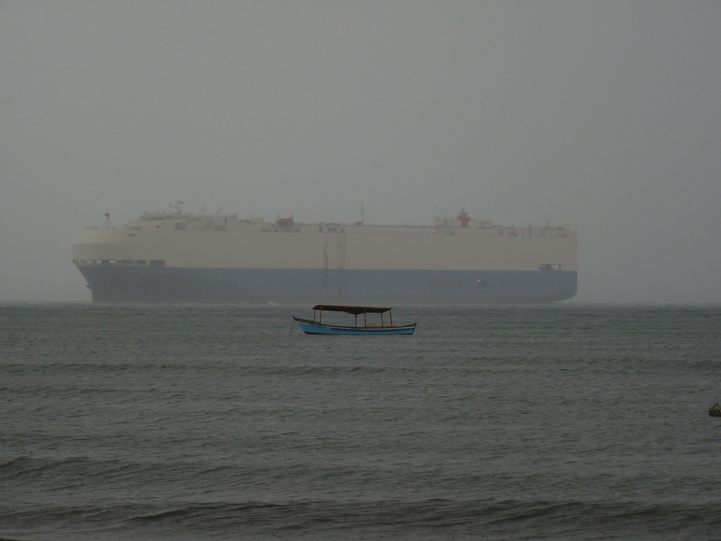 17THERE ant and the elephant