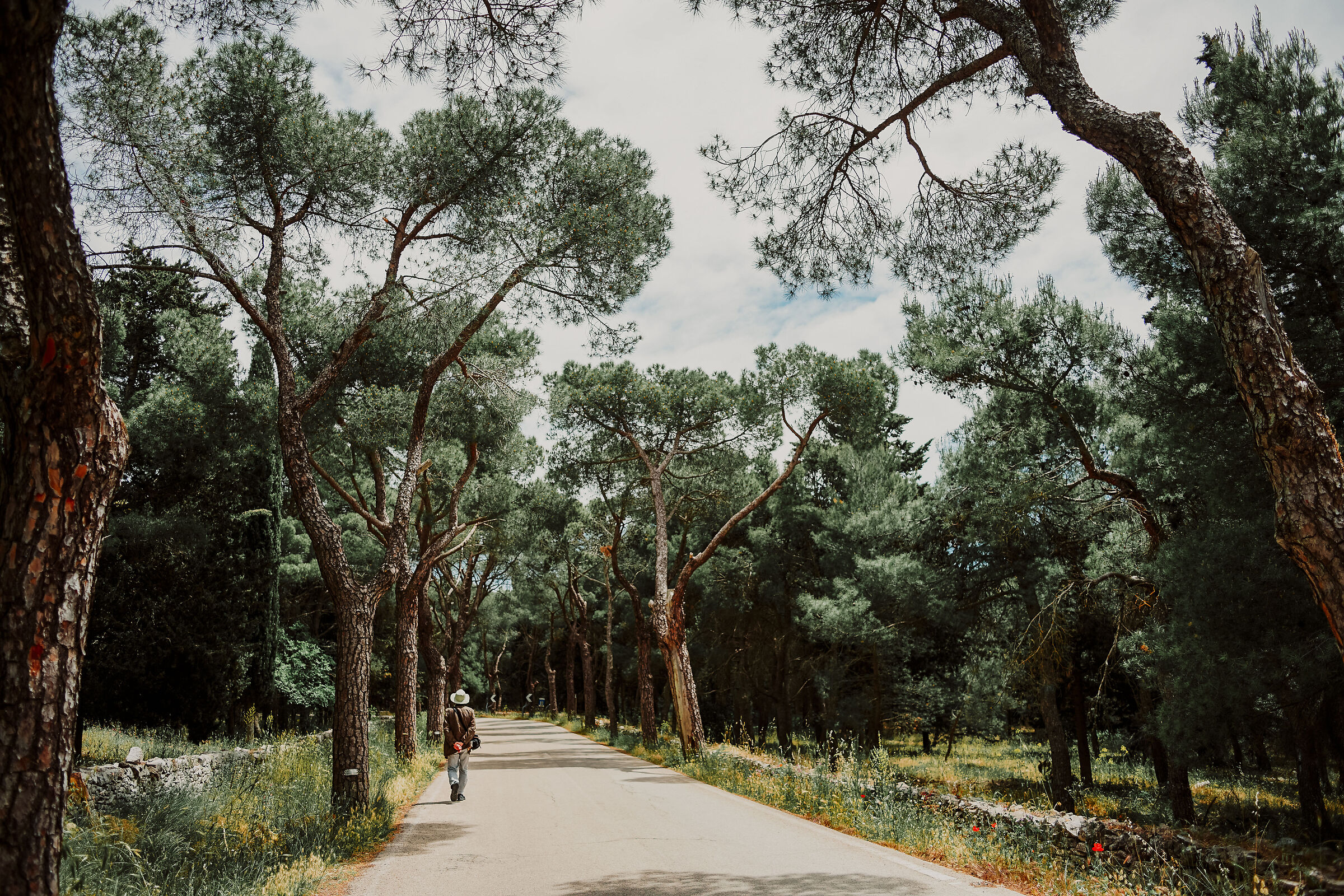 L'esploratore solitario