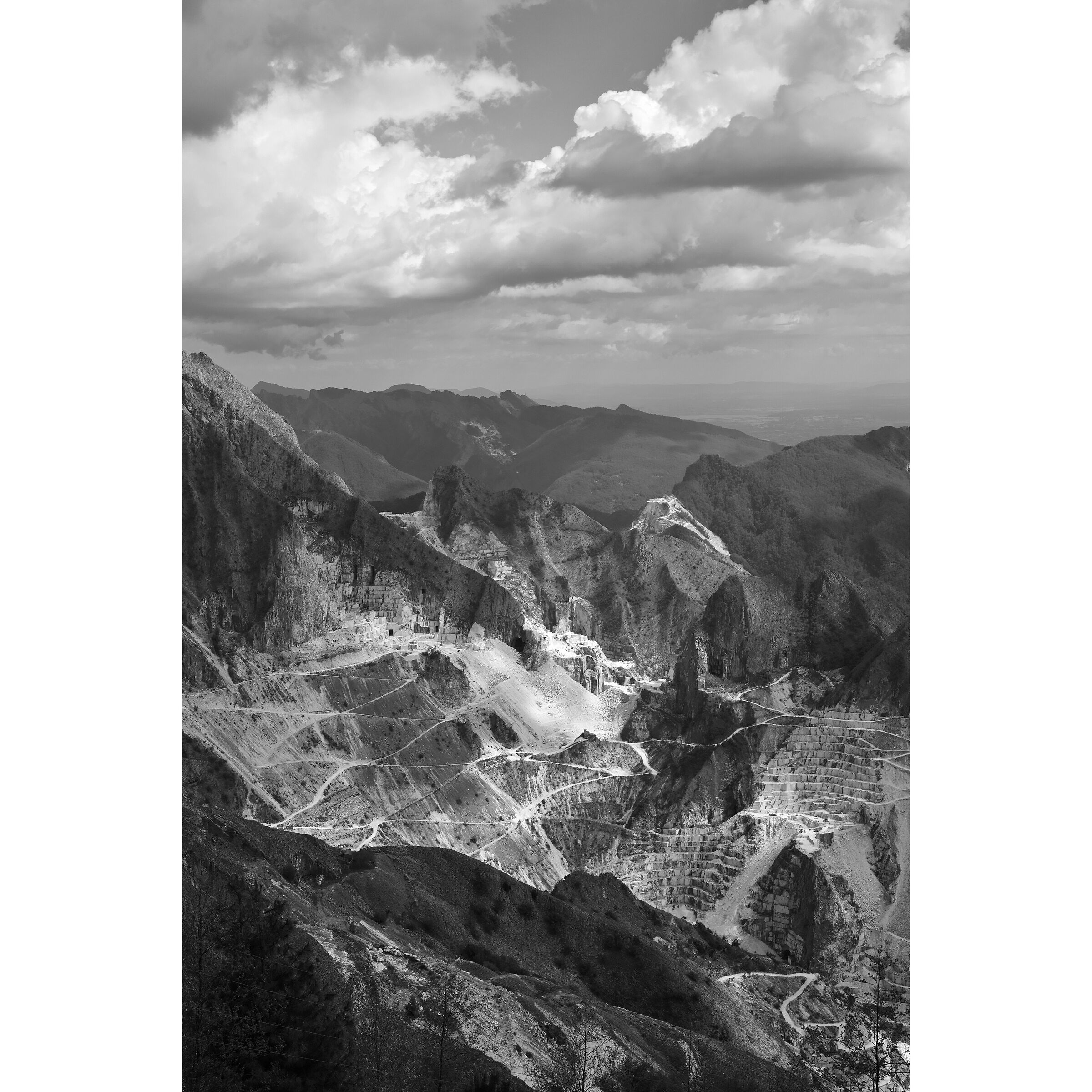 Untitled Photo