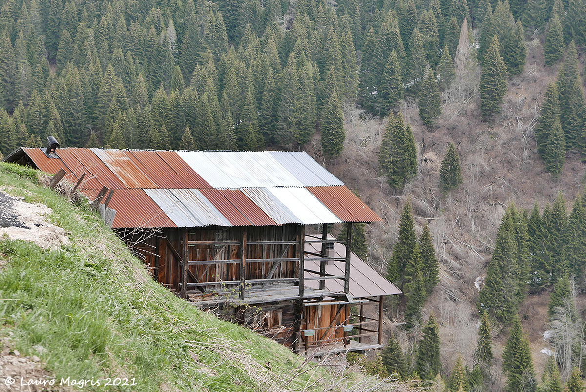 Wood and Sheet Metal