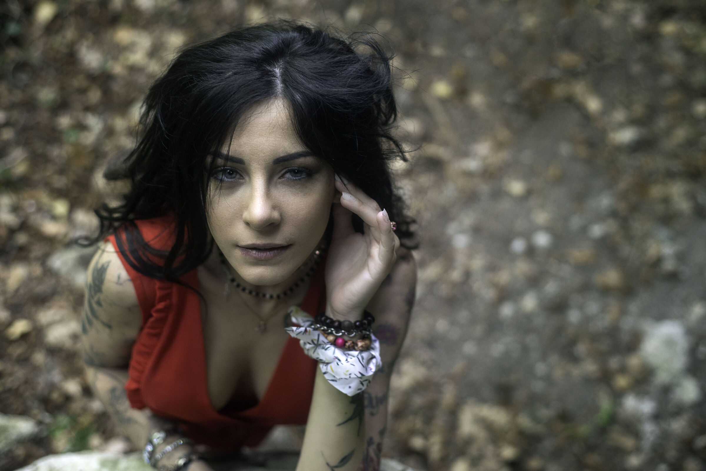 Sguardi al cielo!!!!