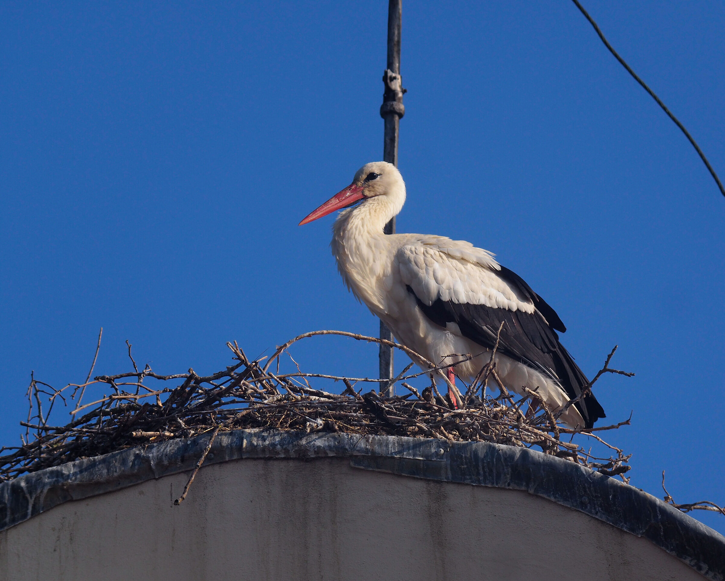 La magia della natura