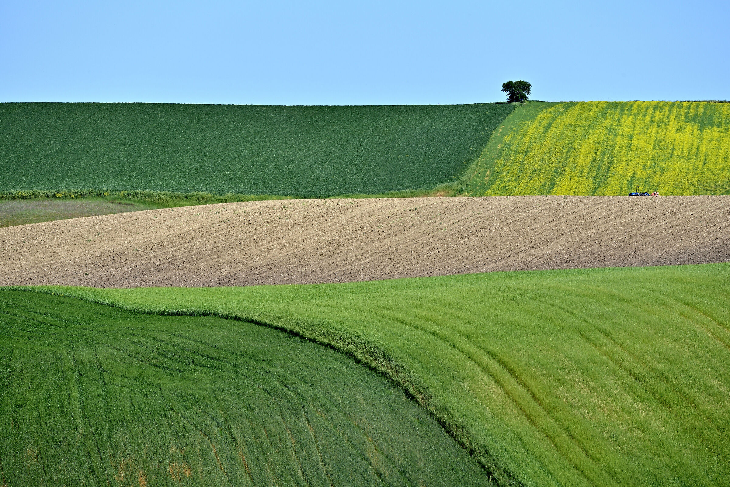 Different greens, different