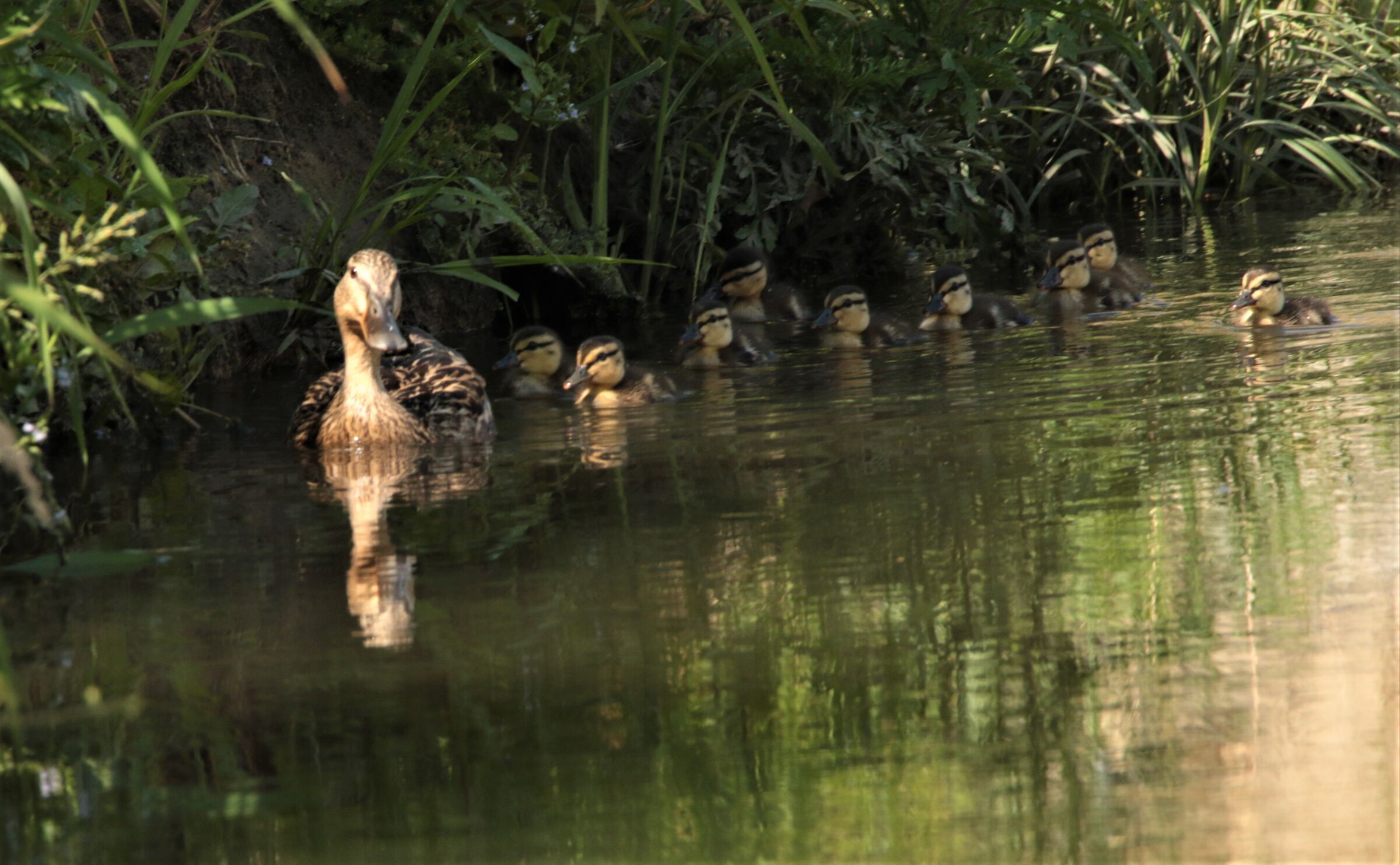 manteniamo la destra!