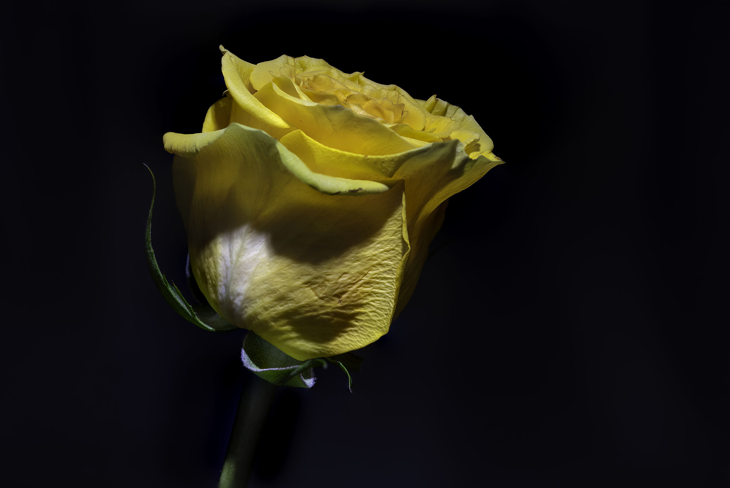 Potente nella sua delicatezza