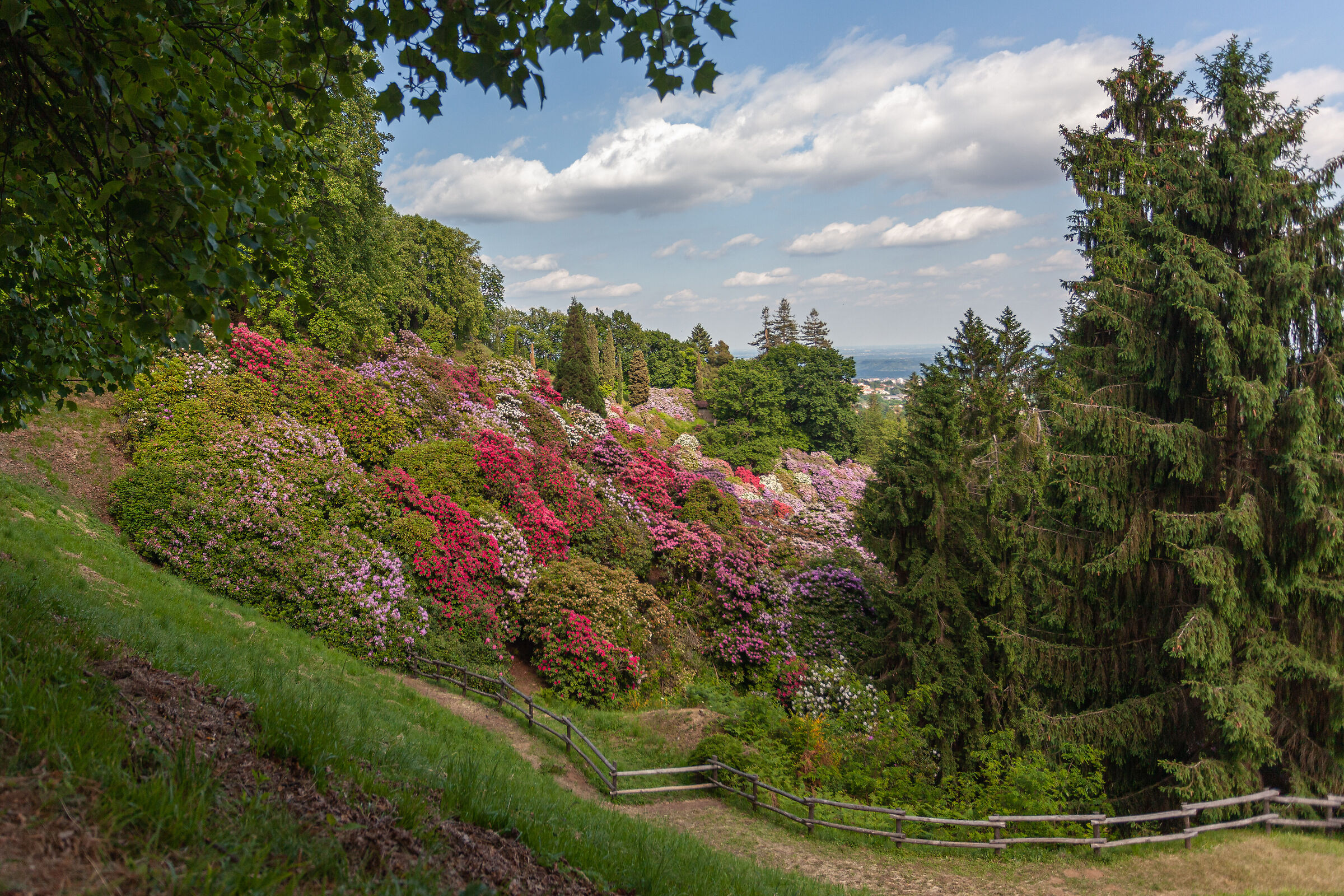 Parco della Burcina - Pollone (bi)