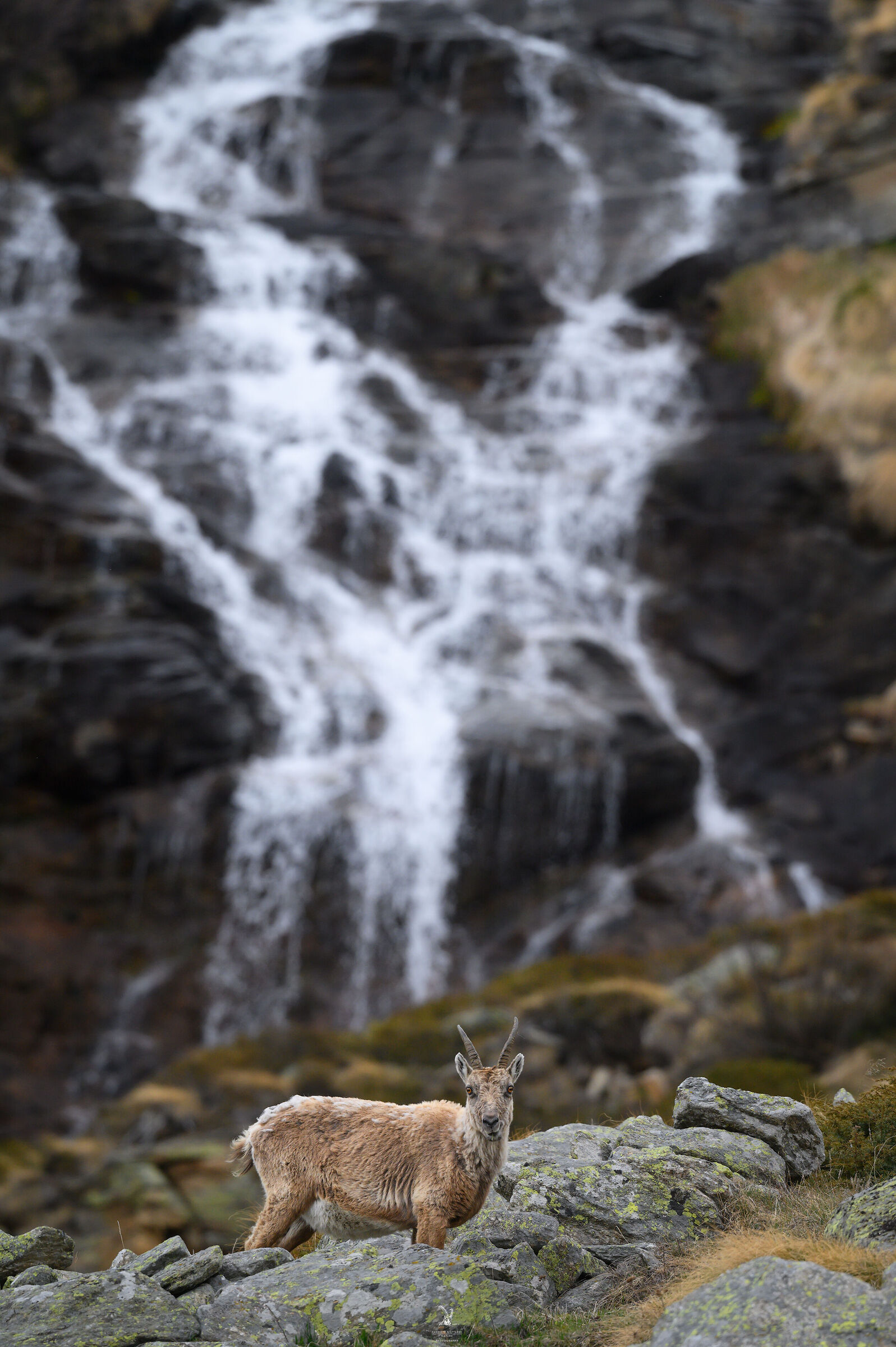 Female in the environment