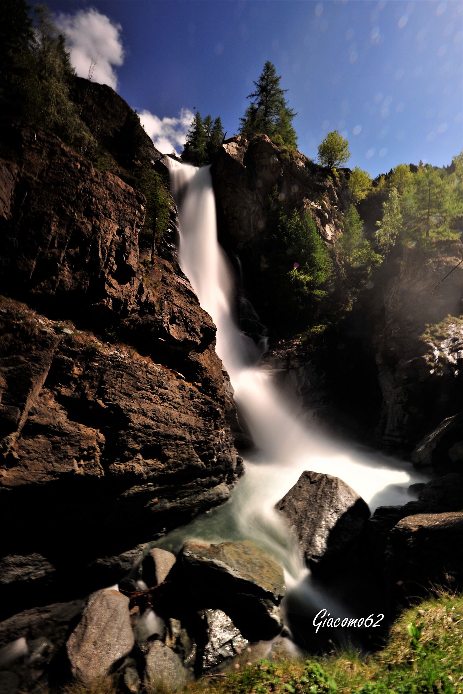 La forza e la dolcezza...