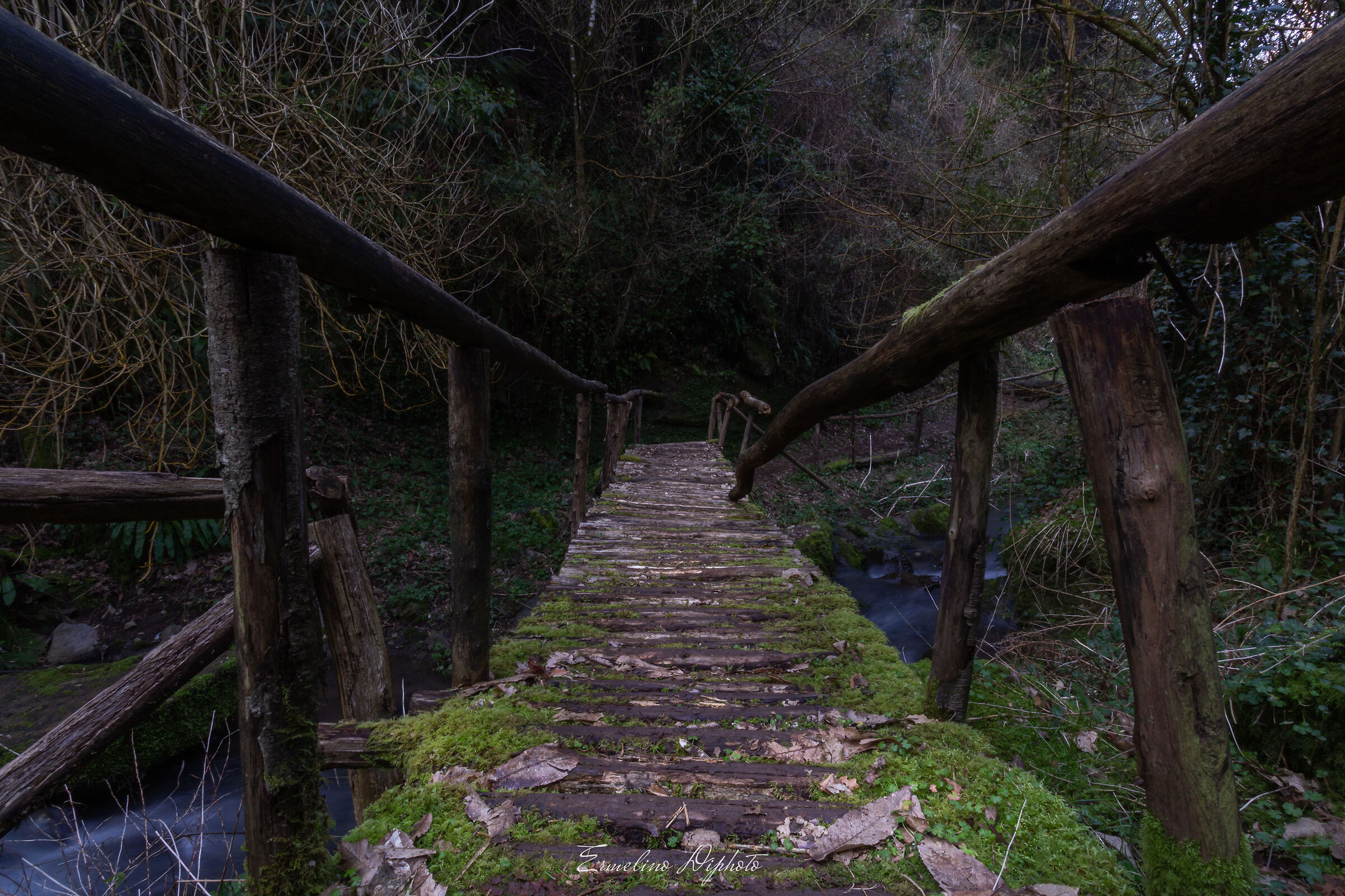 the bridge