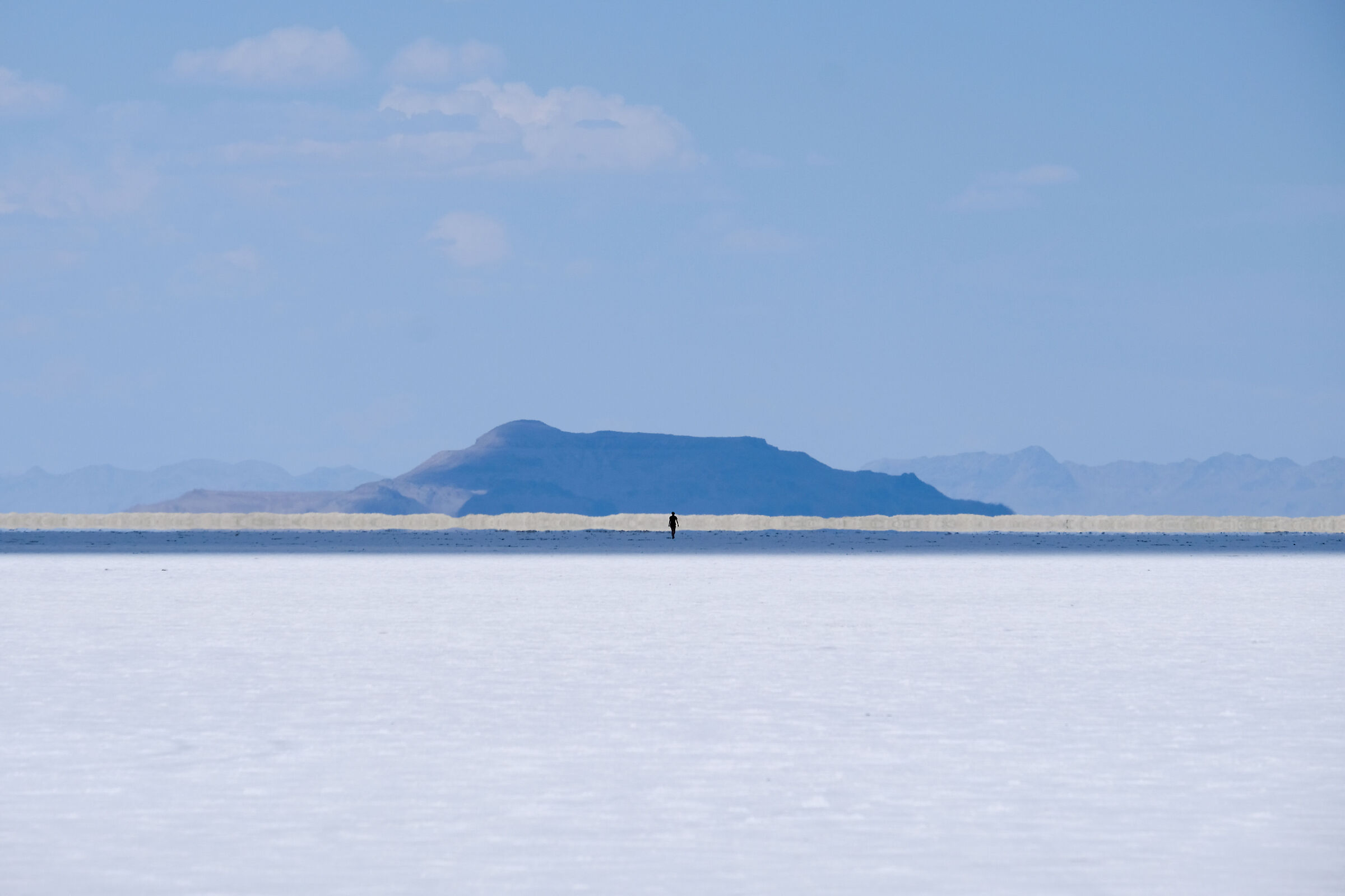 To Leave or Not to Leave