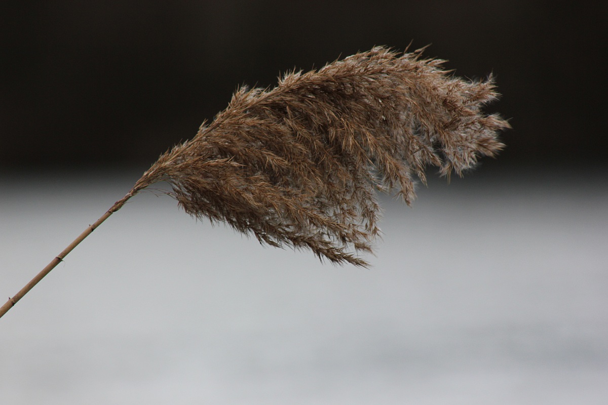 On the banks of the Adda.