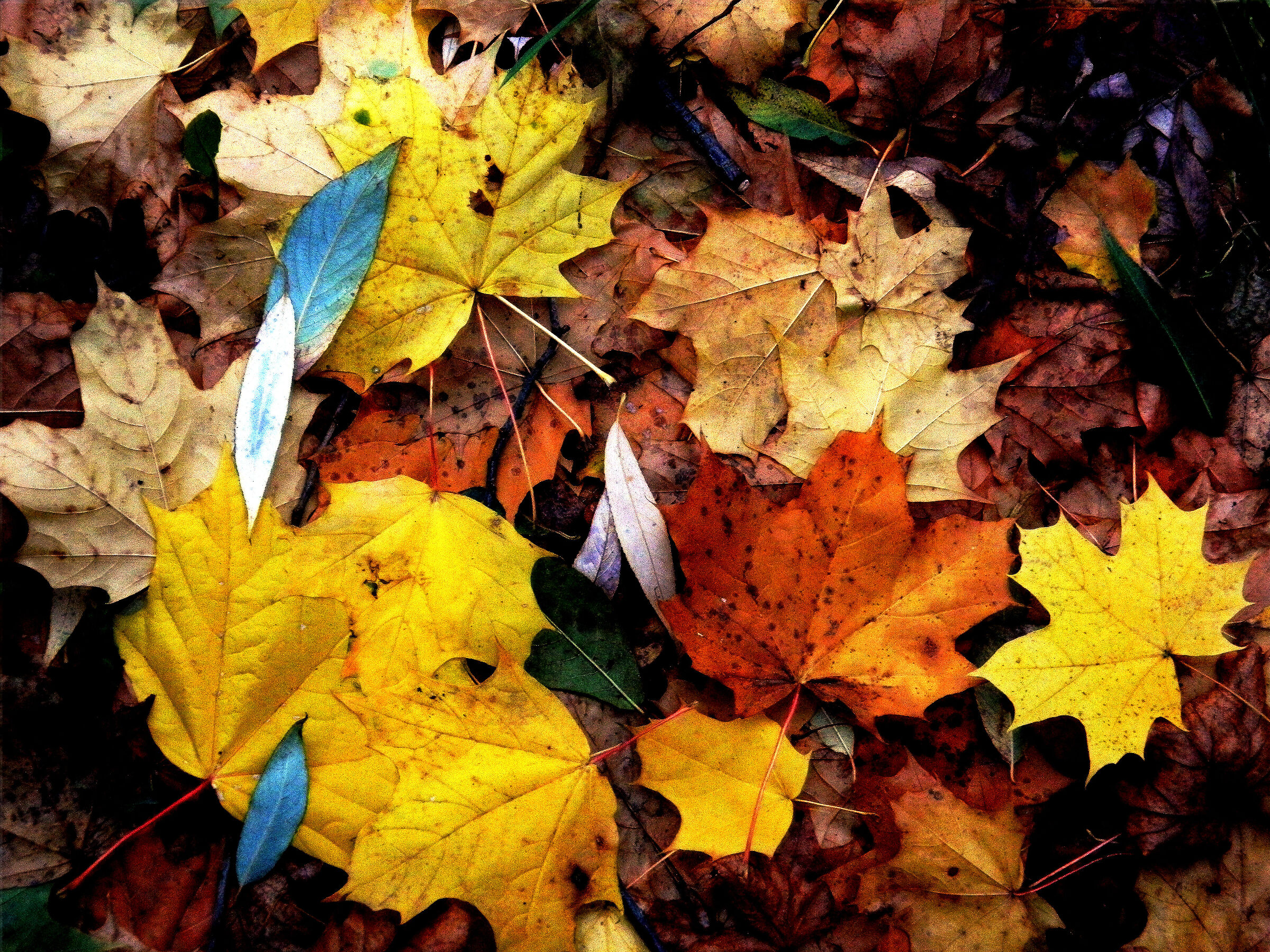 Carosello del Tempo (Ouverture fino all'ultima stagione)