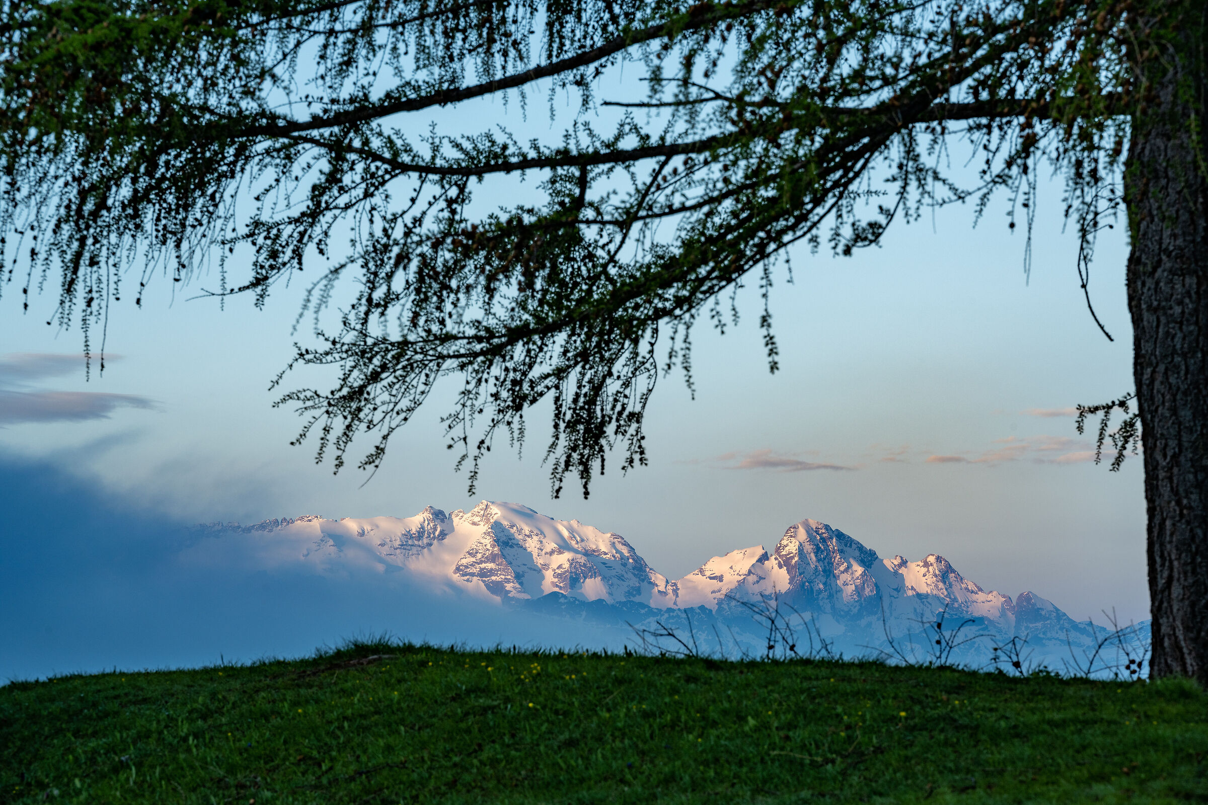 Marmolada at dawn