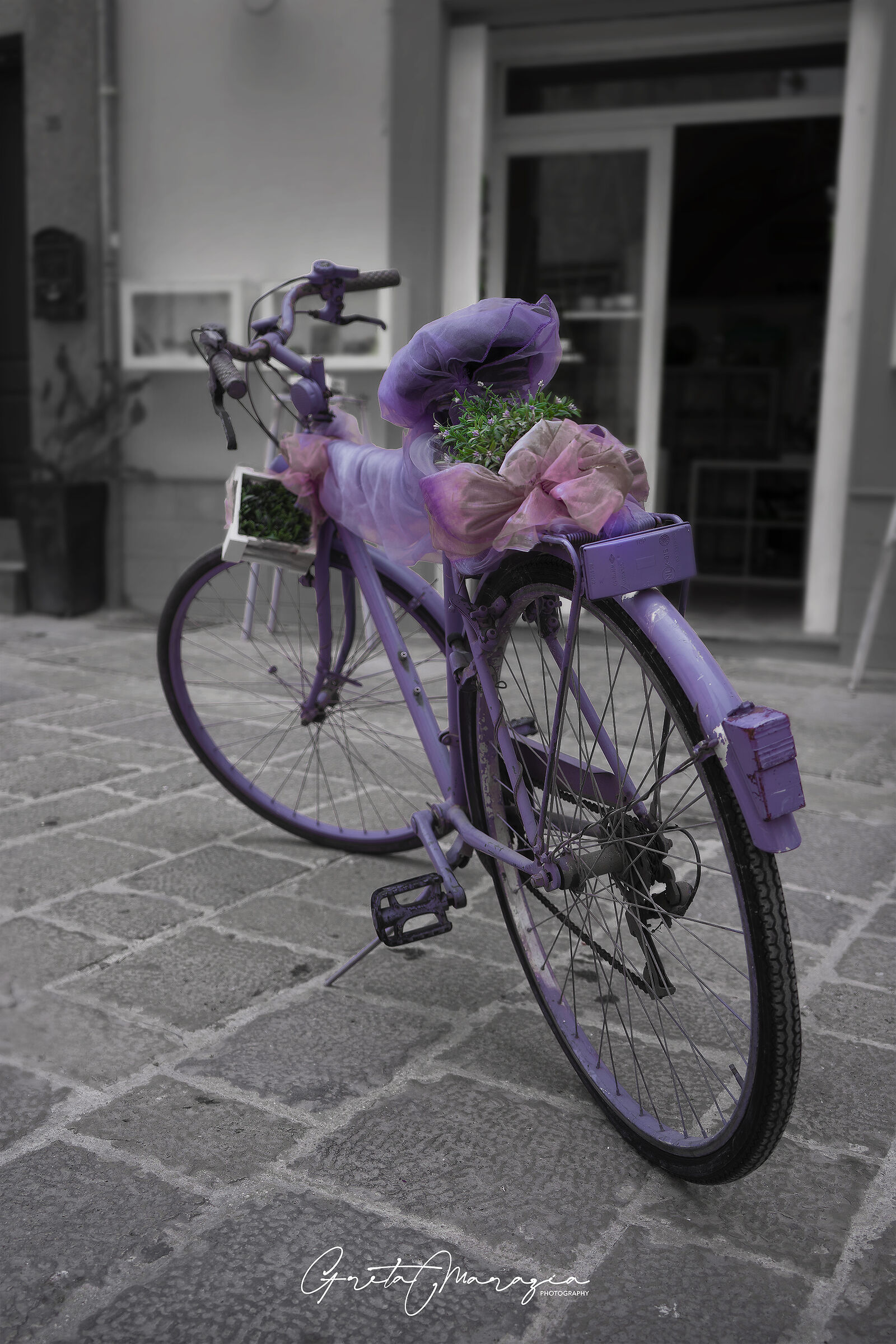 Purple bike - Lecce