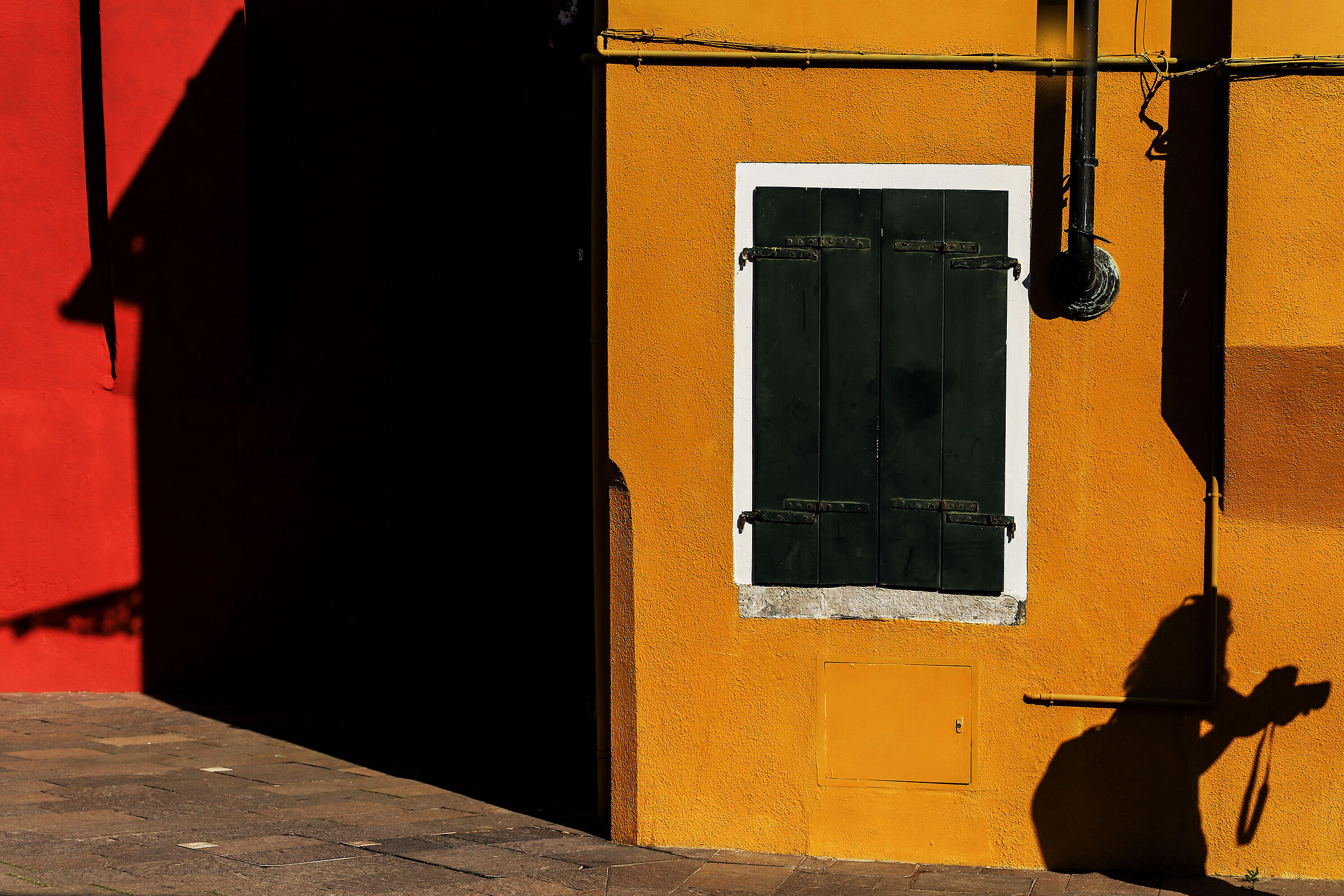 Un'ombra tra i colori