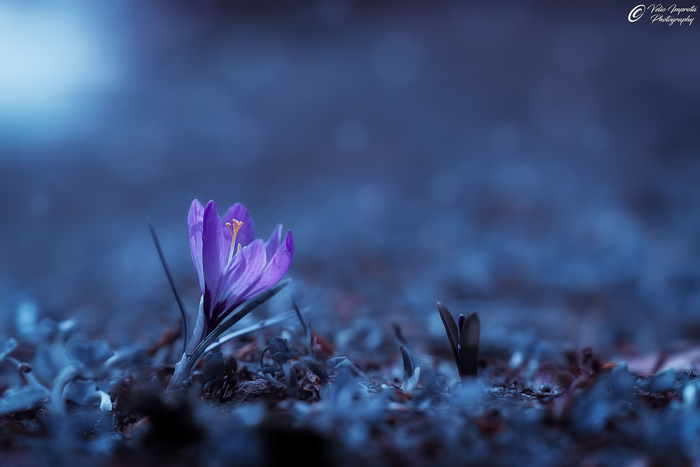 One day you will be like me