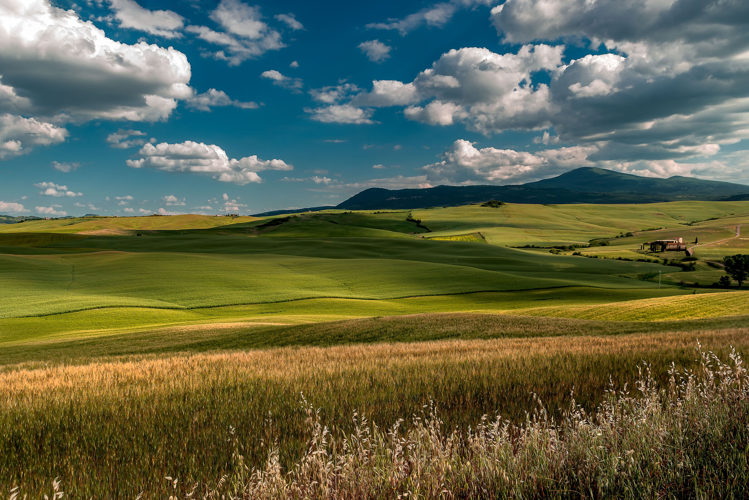 paesaggio val d'orcia