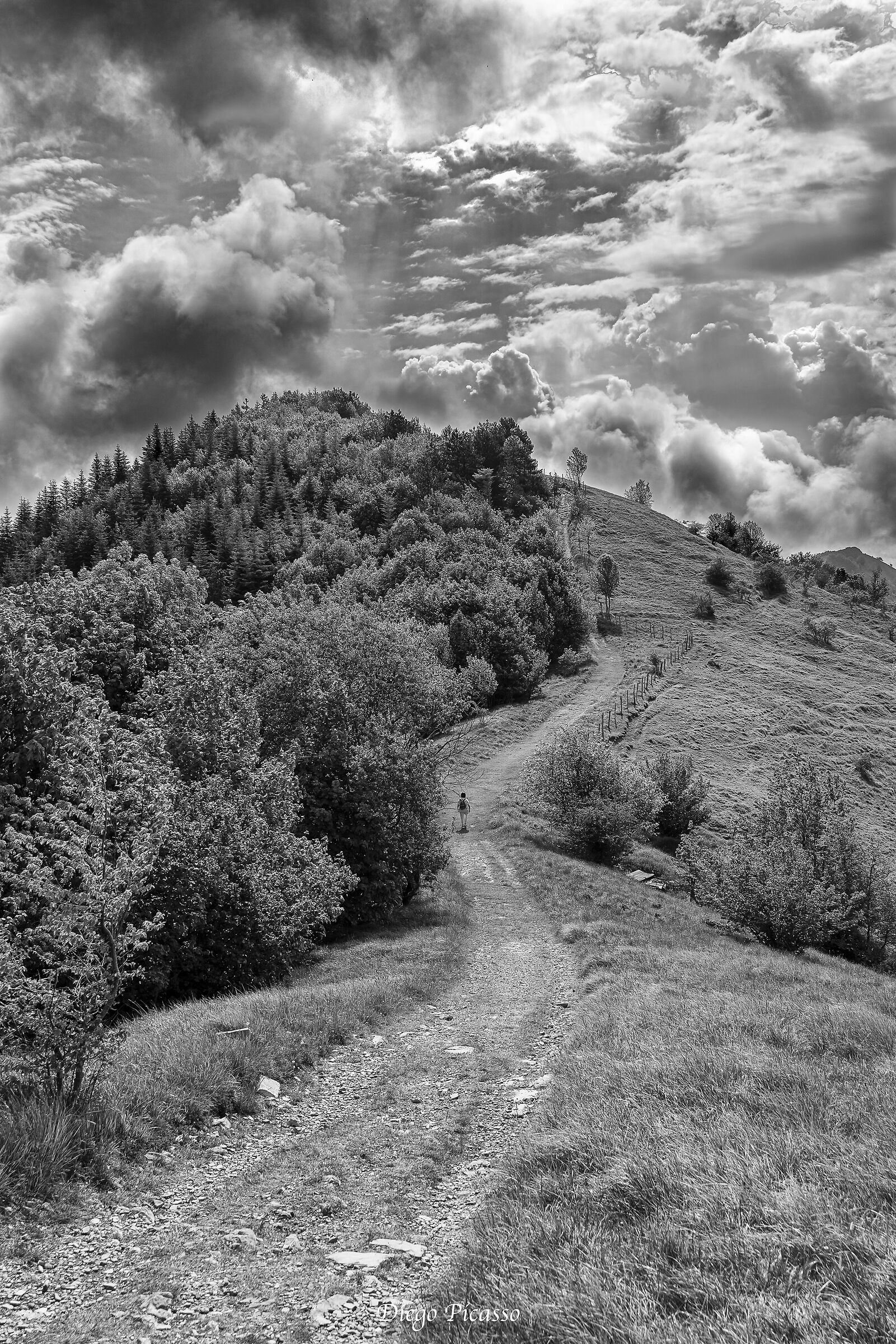Road to the Clouds