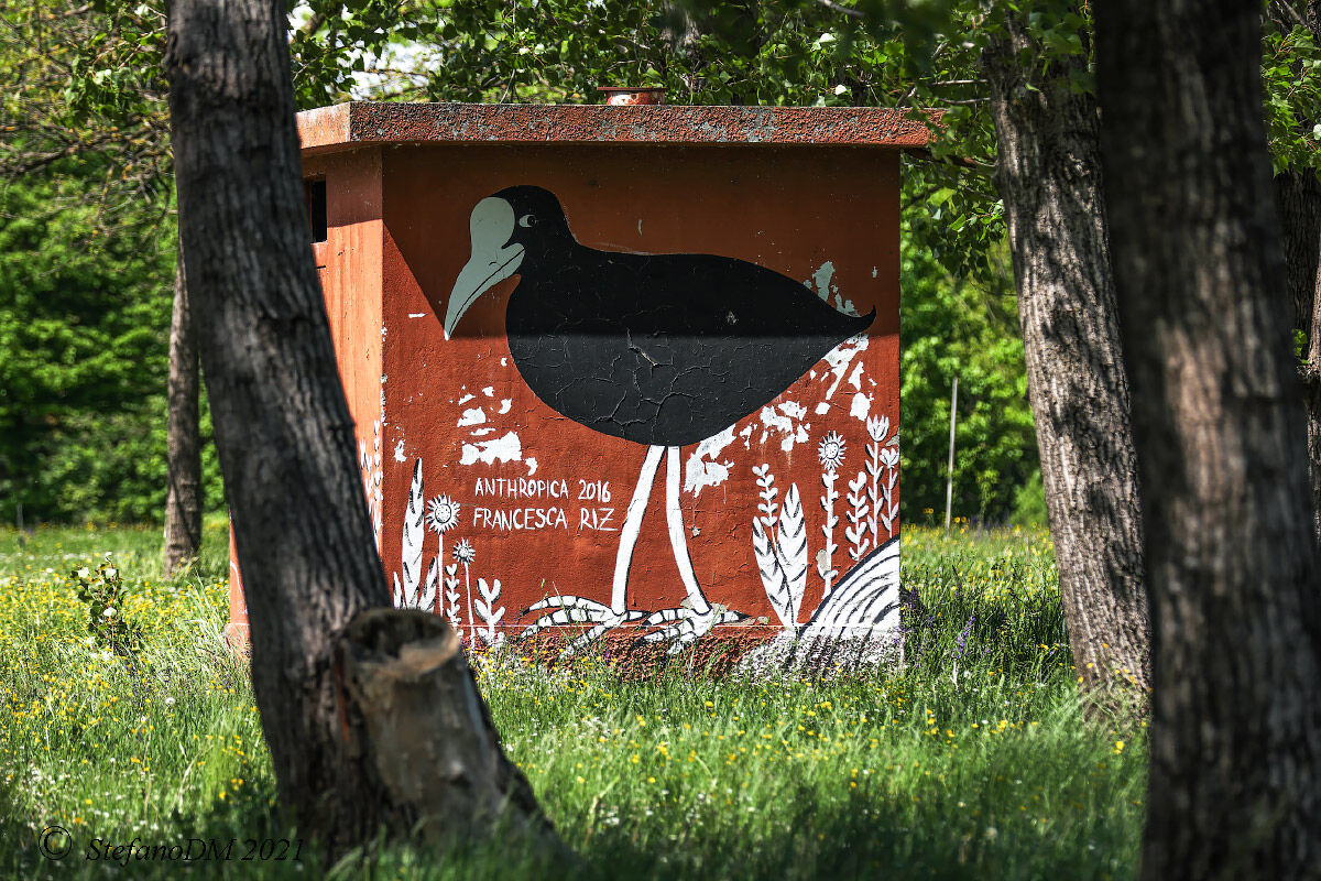 Street Art lungo il Sile