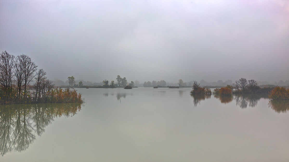 Novembre nella Riserva