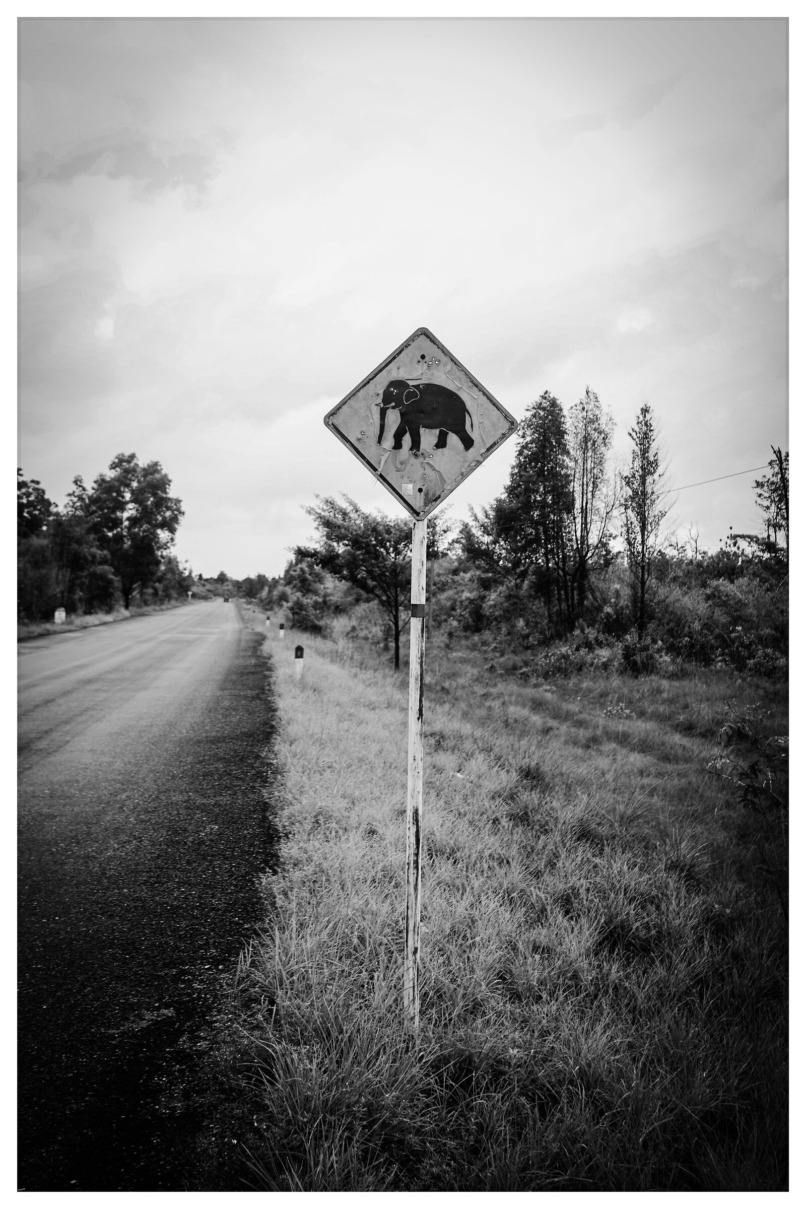 places you go, signals you find.....