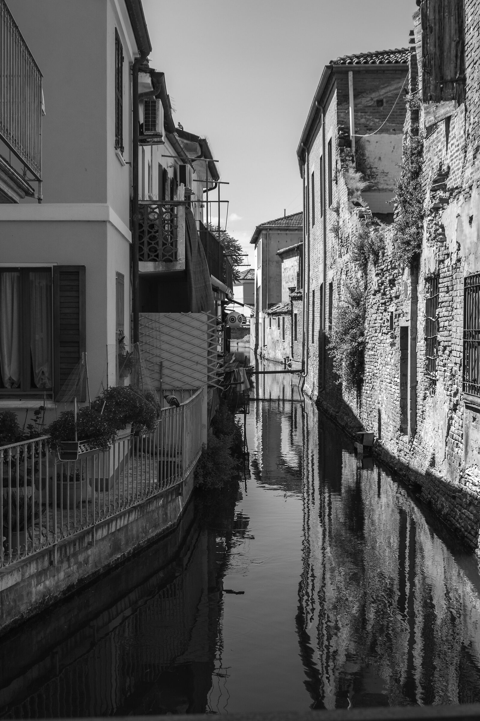 Comacchio piccola venezia - Wikipedia