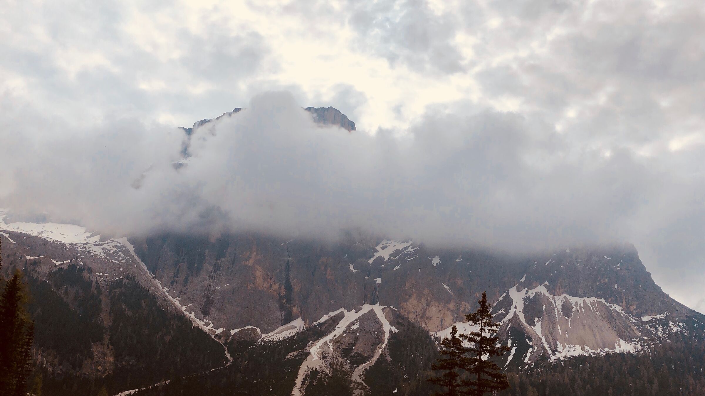 Sassolungo - Wikipedia