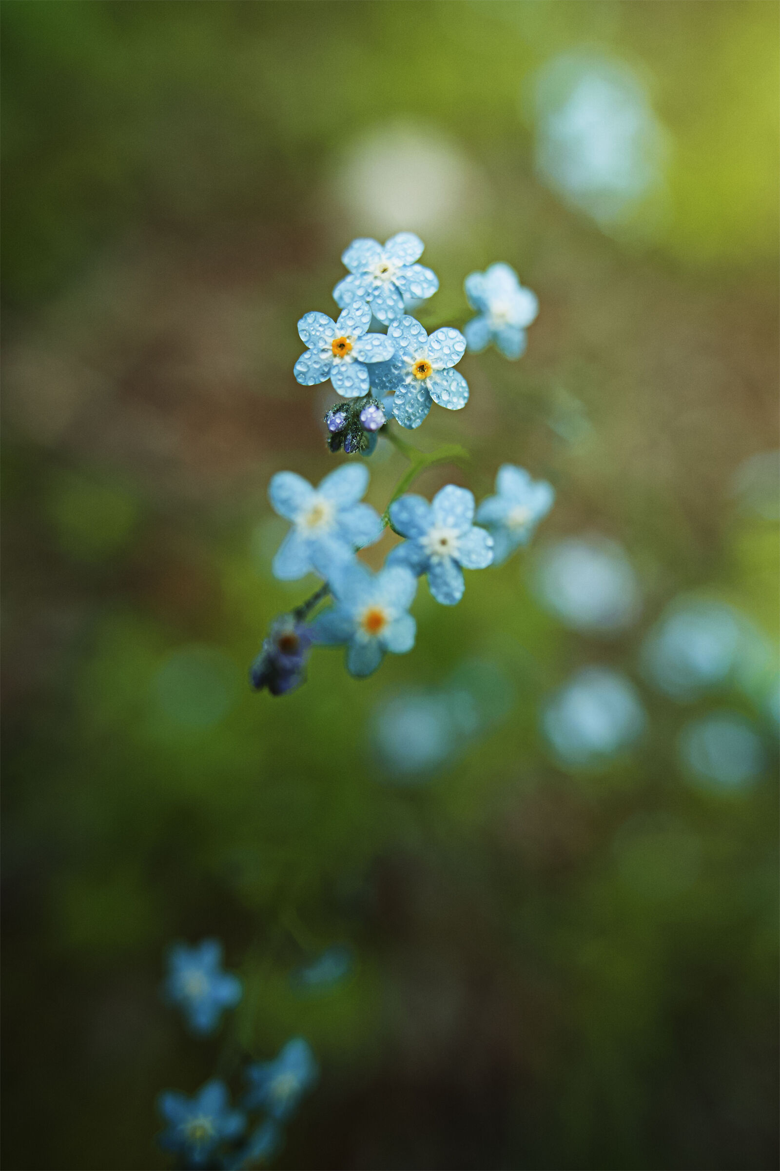 Untitled Photo
