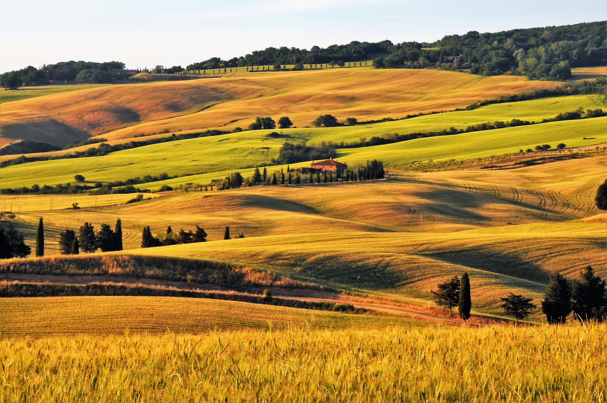 Val d'Orcia h 7:40 pm