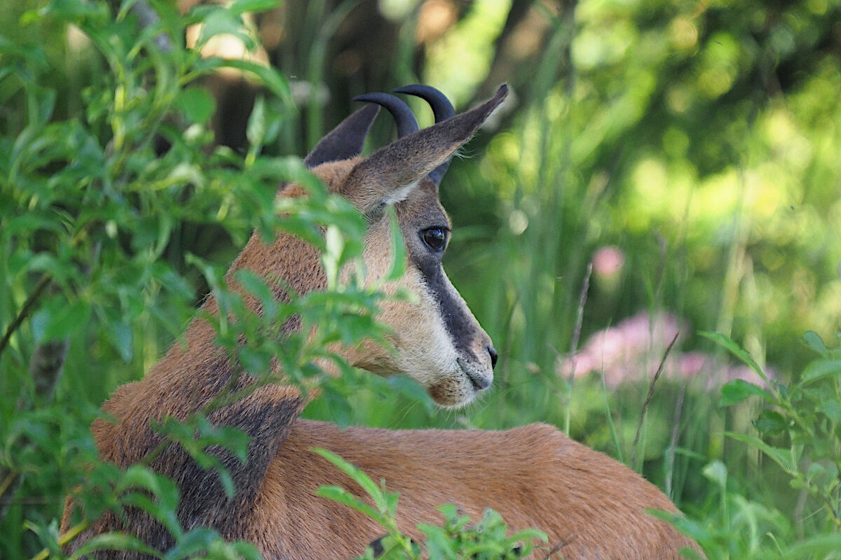 "Don't take pictures of me you know!!!!"