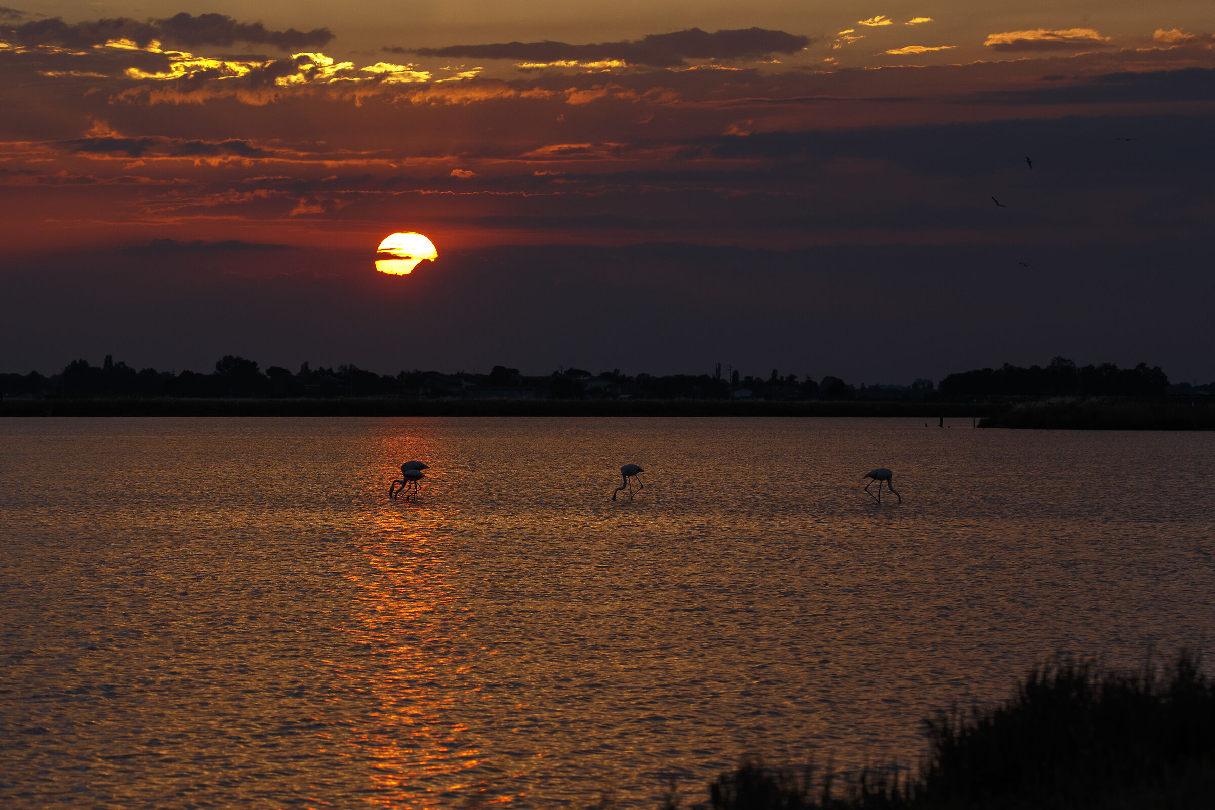 World Environment Day - Sunset