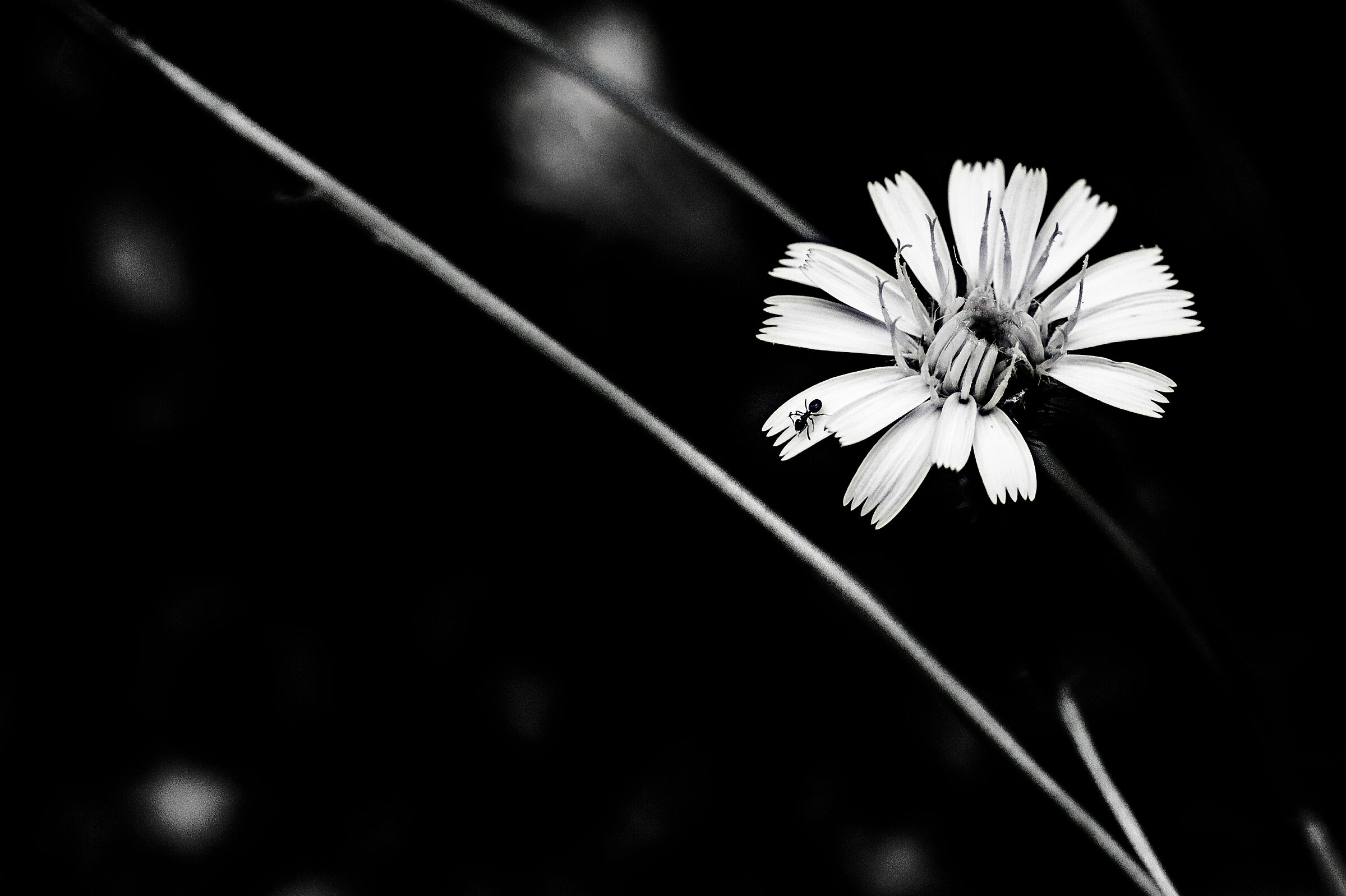 Untitled Photo