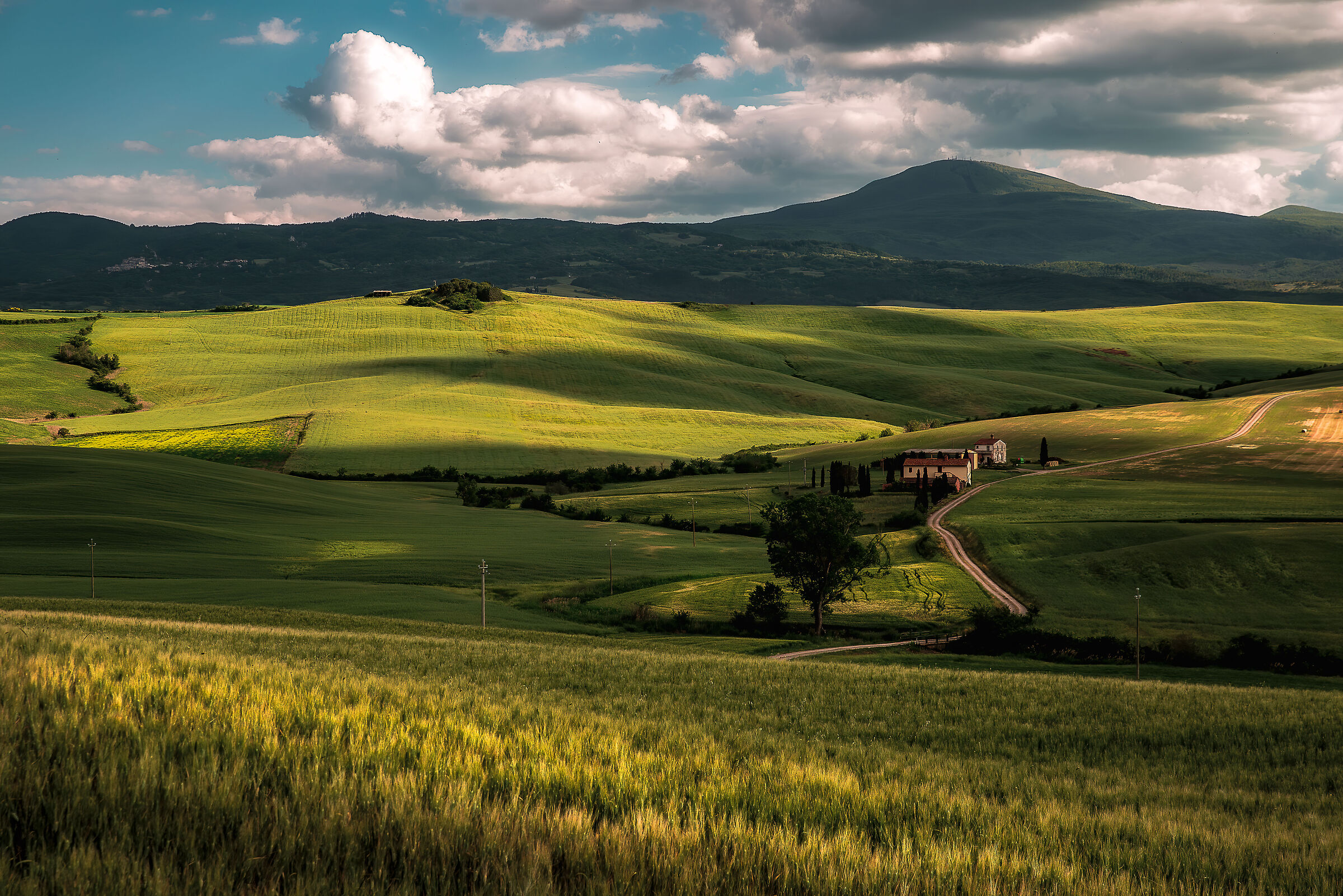 paesaggio val d'orcia