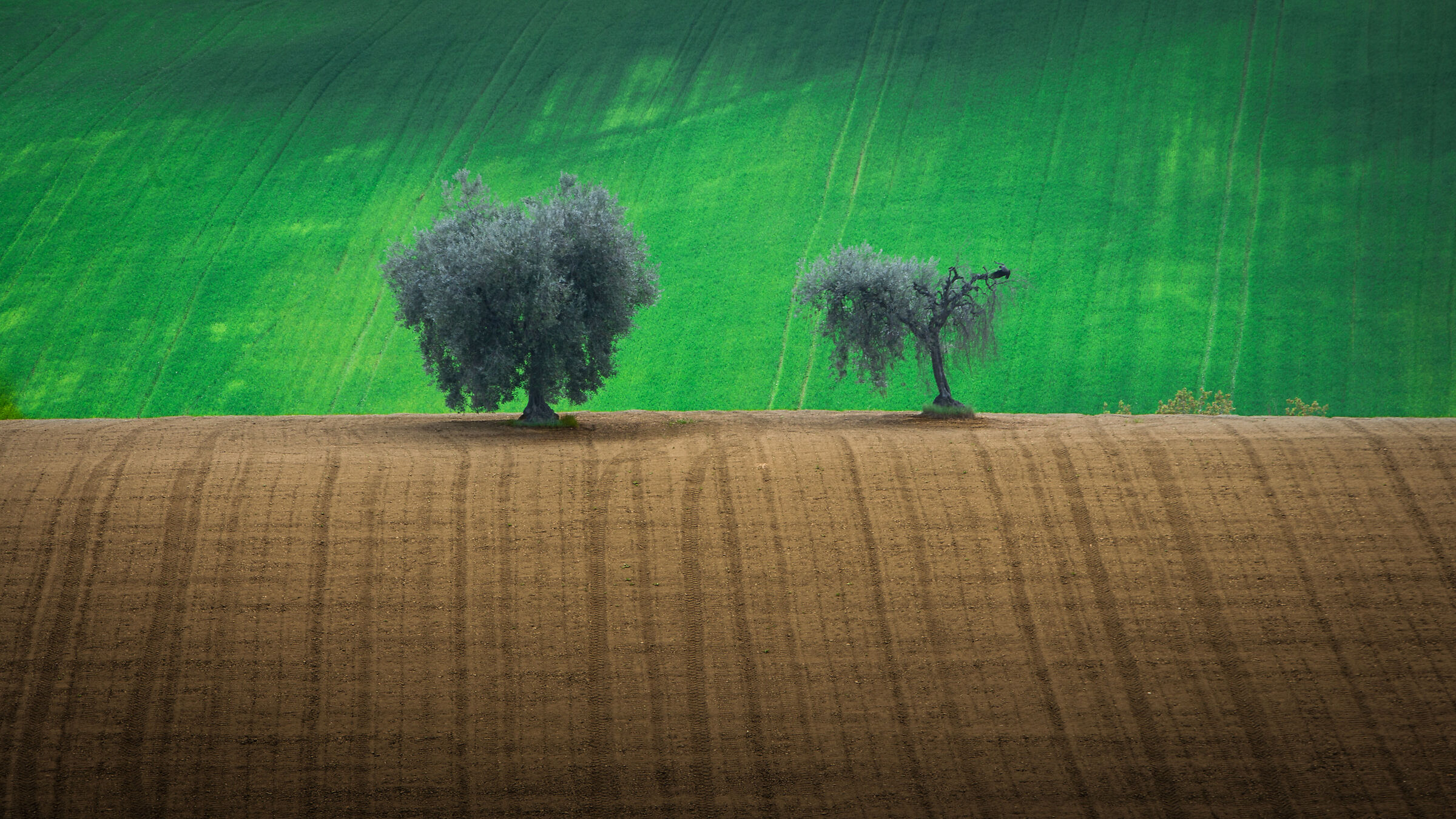 Untitled Photo