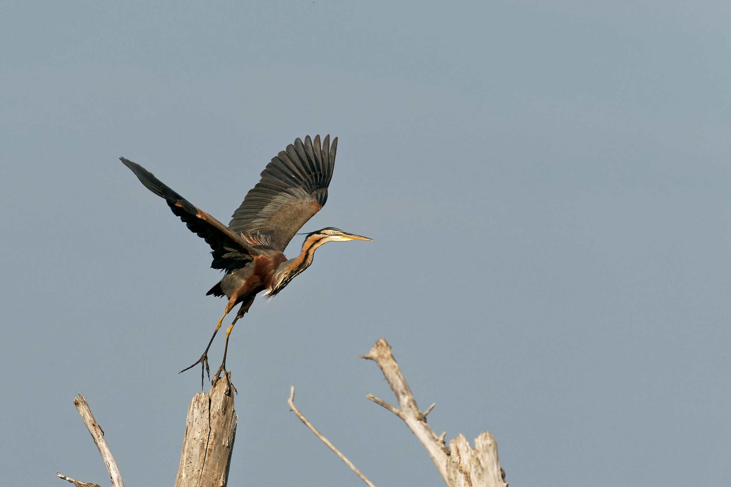 Take-Off