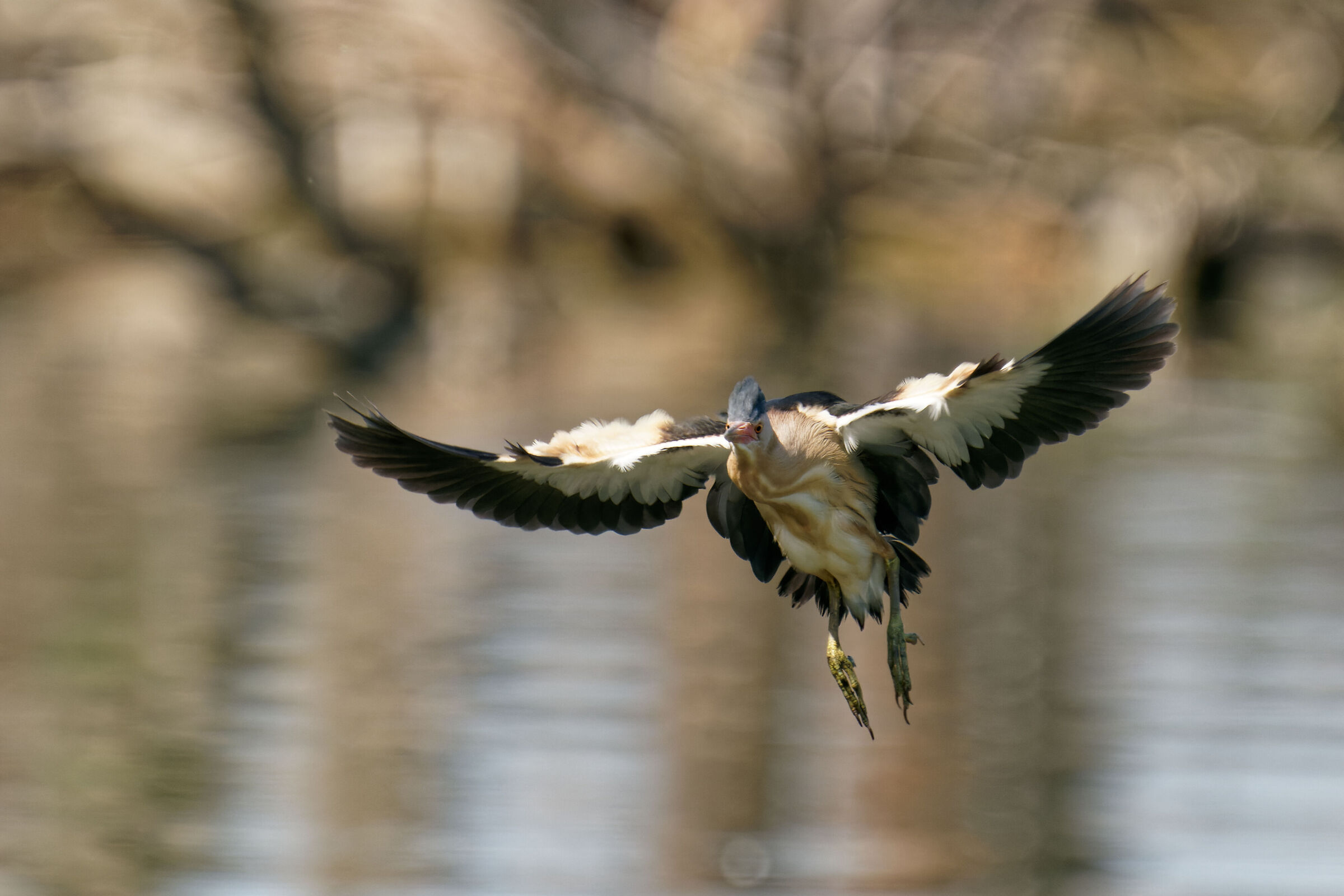 glide