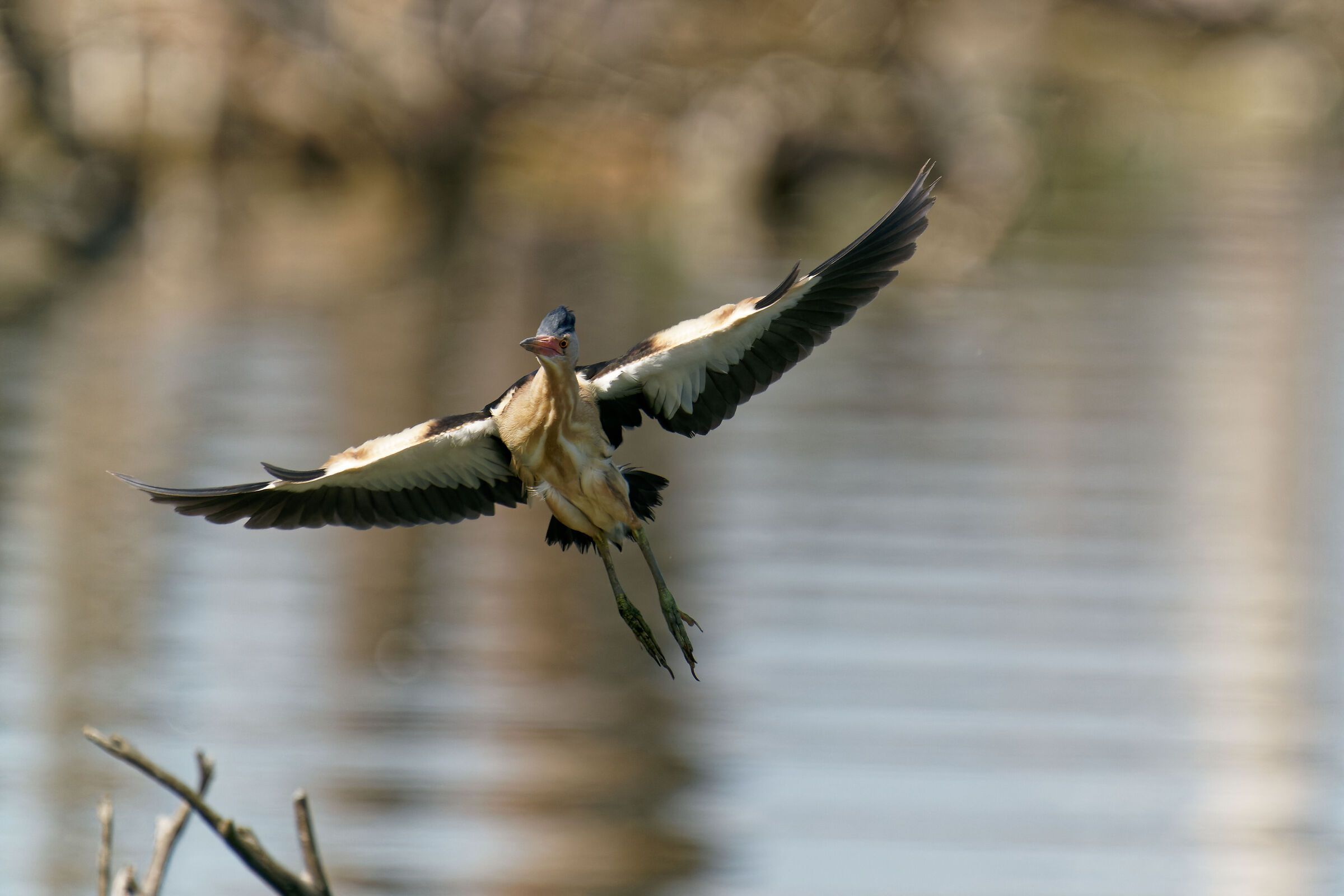 landing