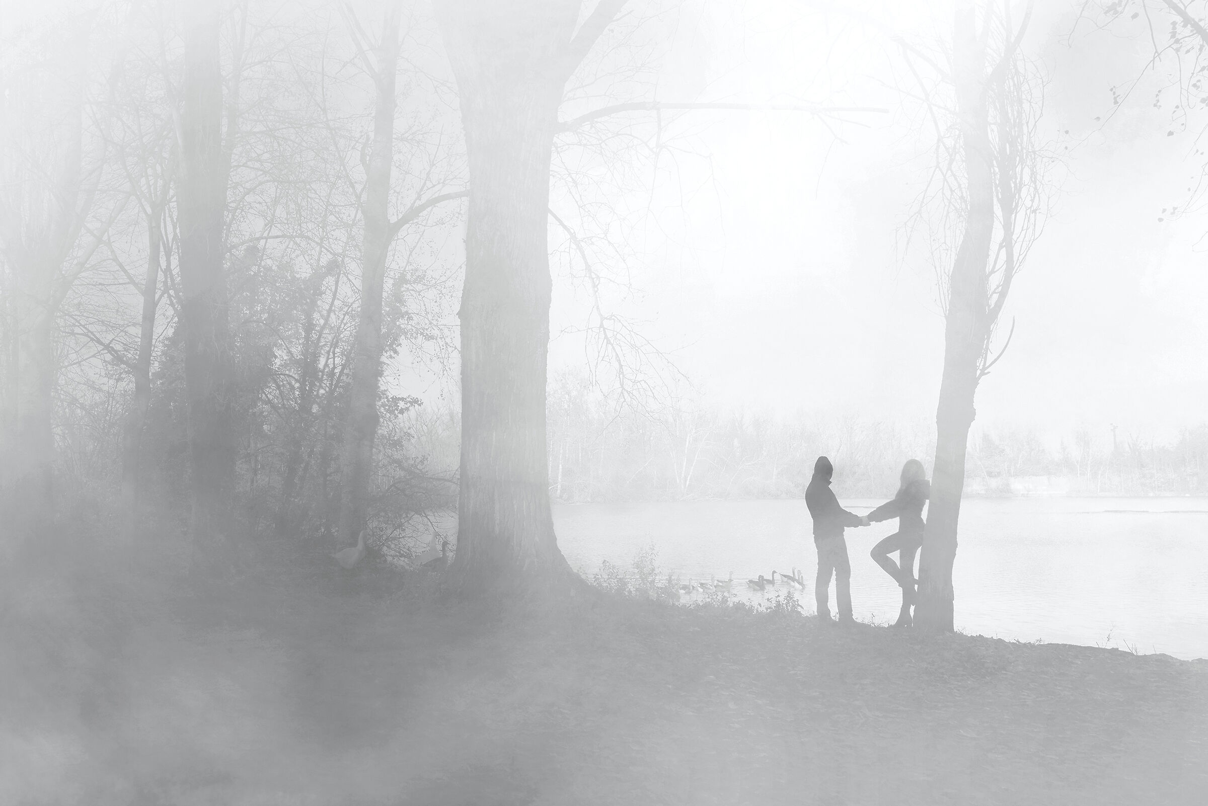 Nella nebbia