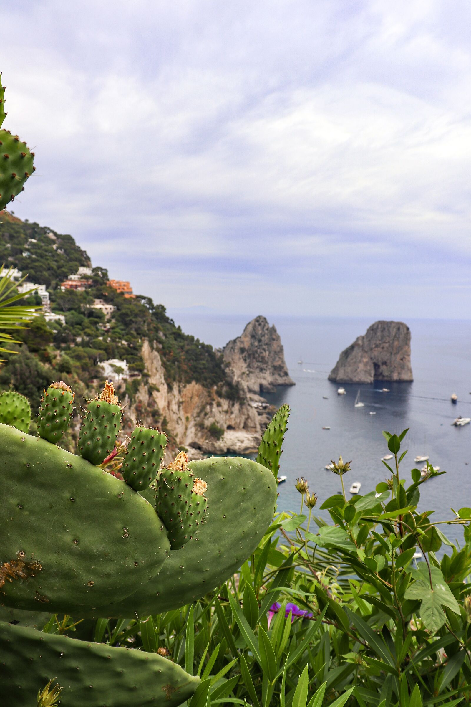 Capri