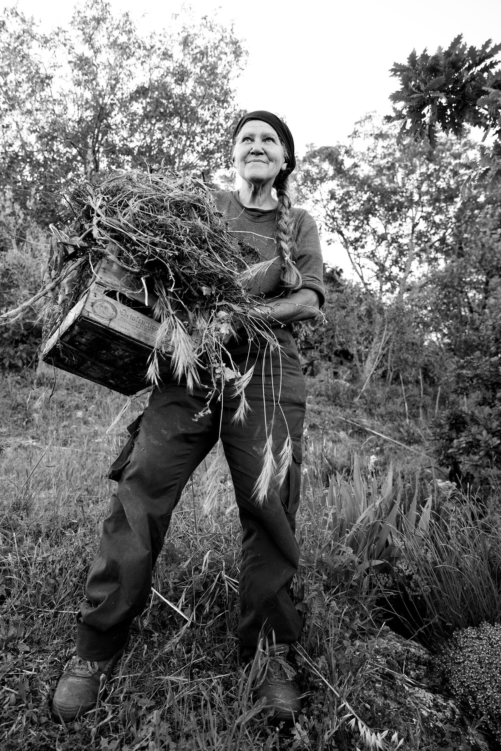 Ritorno alle origini