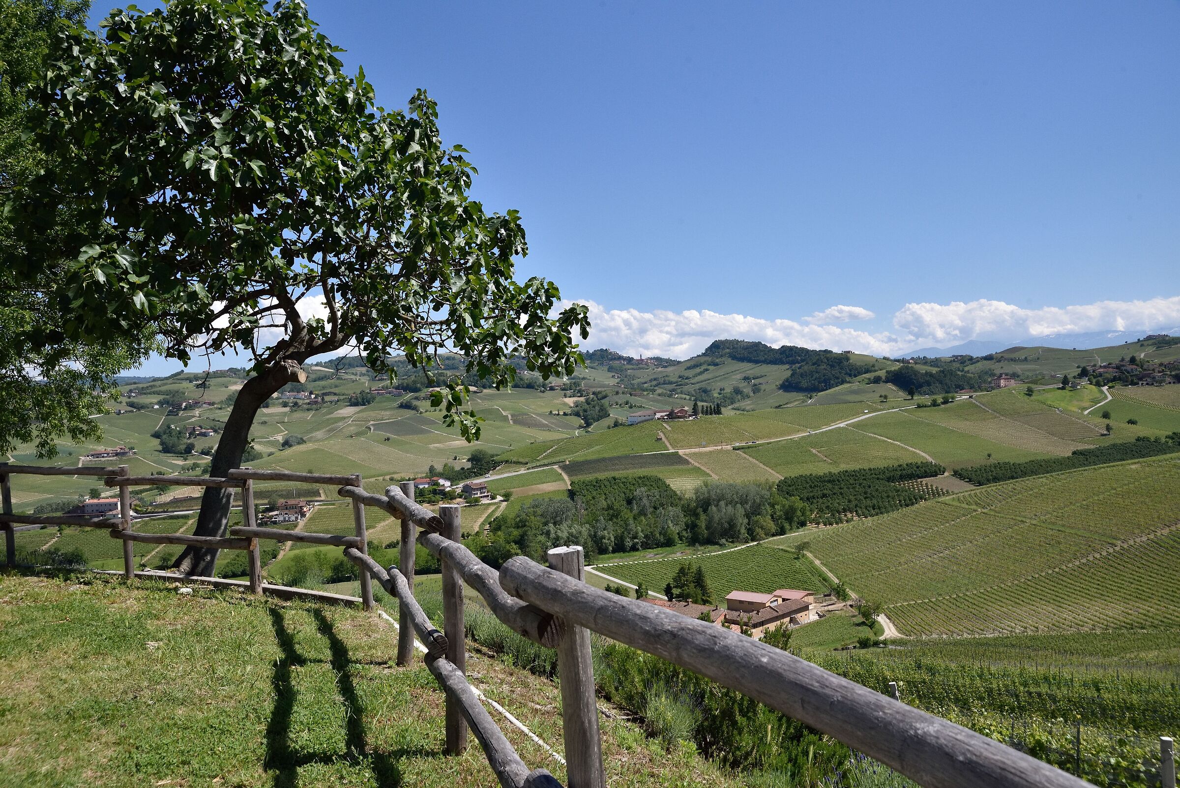 panorarama delle  Langhe
