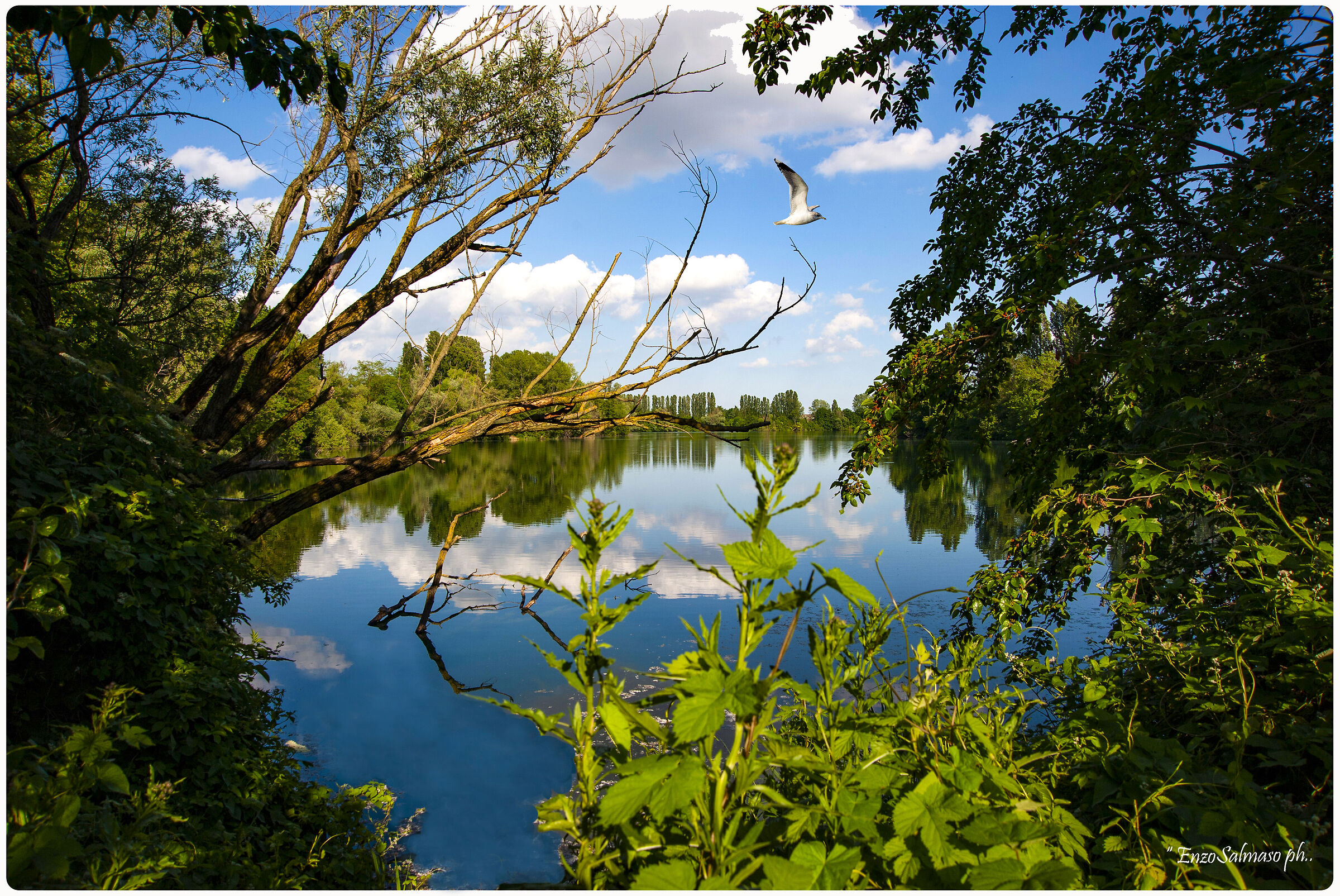 Laghetto Parco di Rubano (pd)