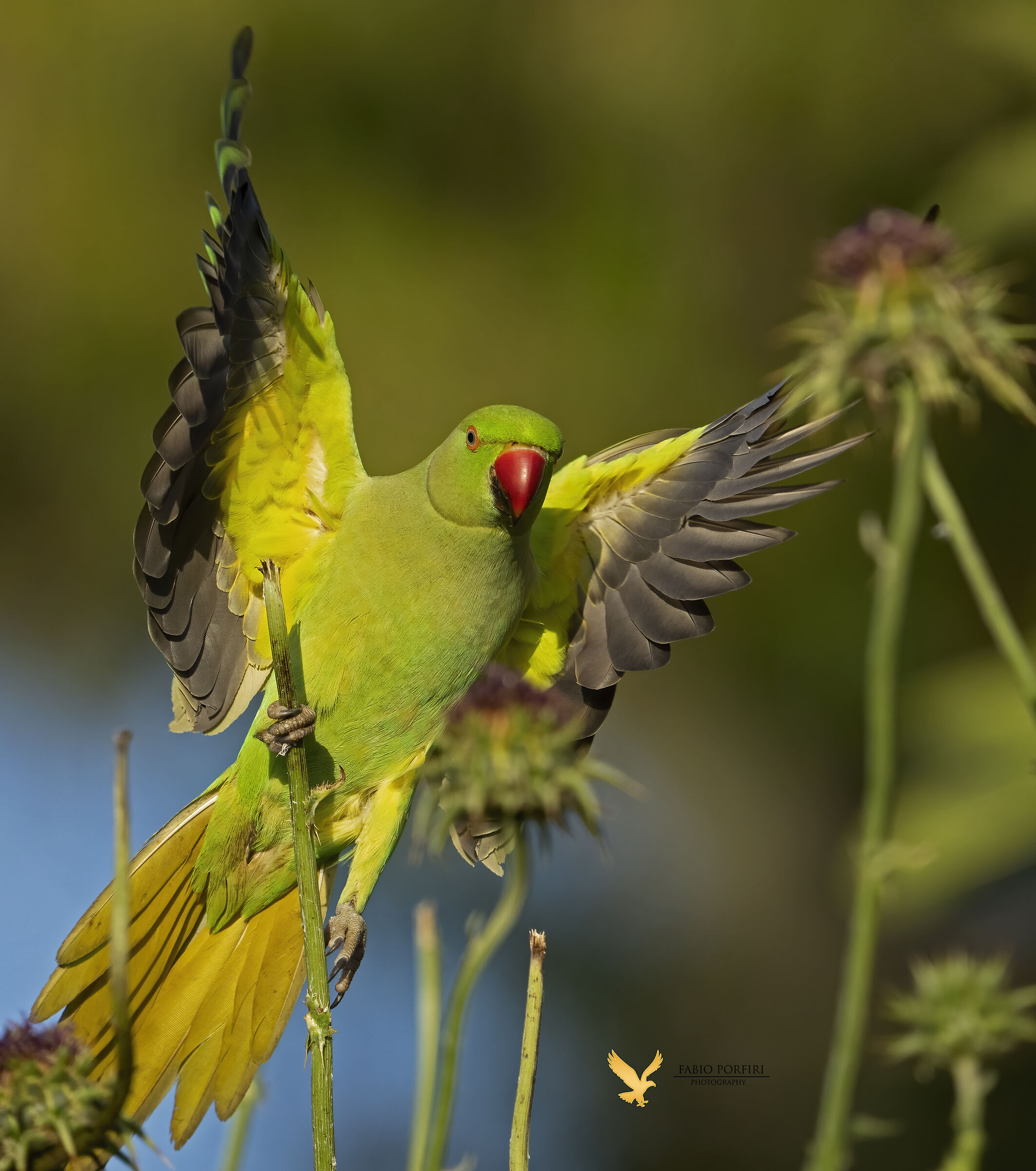 it's a matter of light....