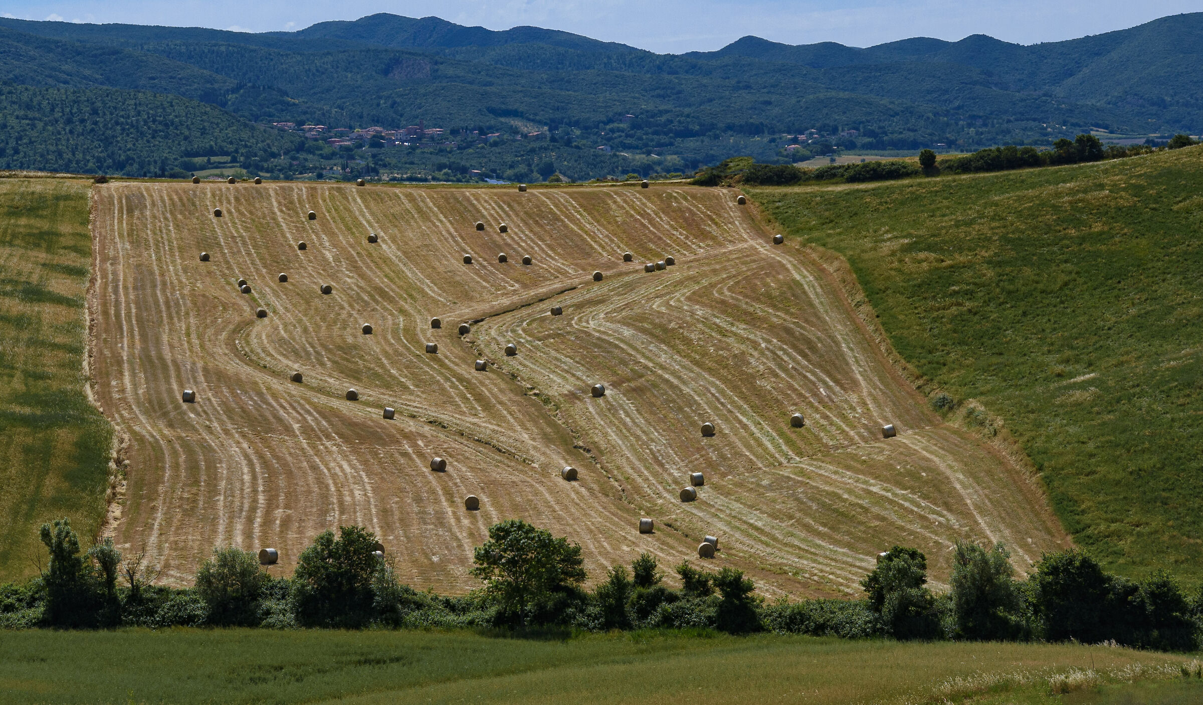 La corsa delle balle di fieno