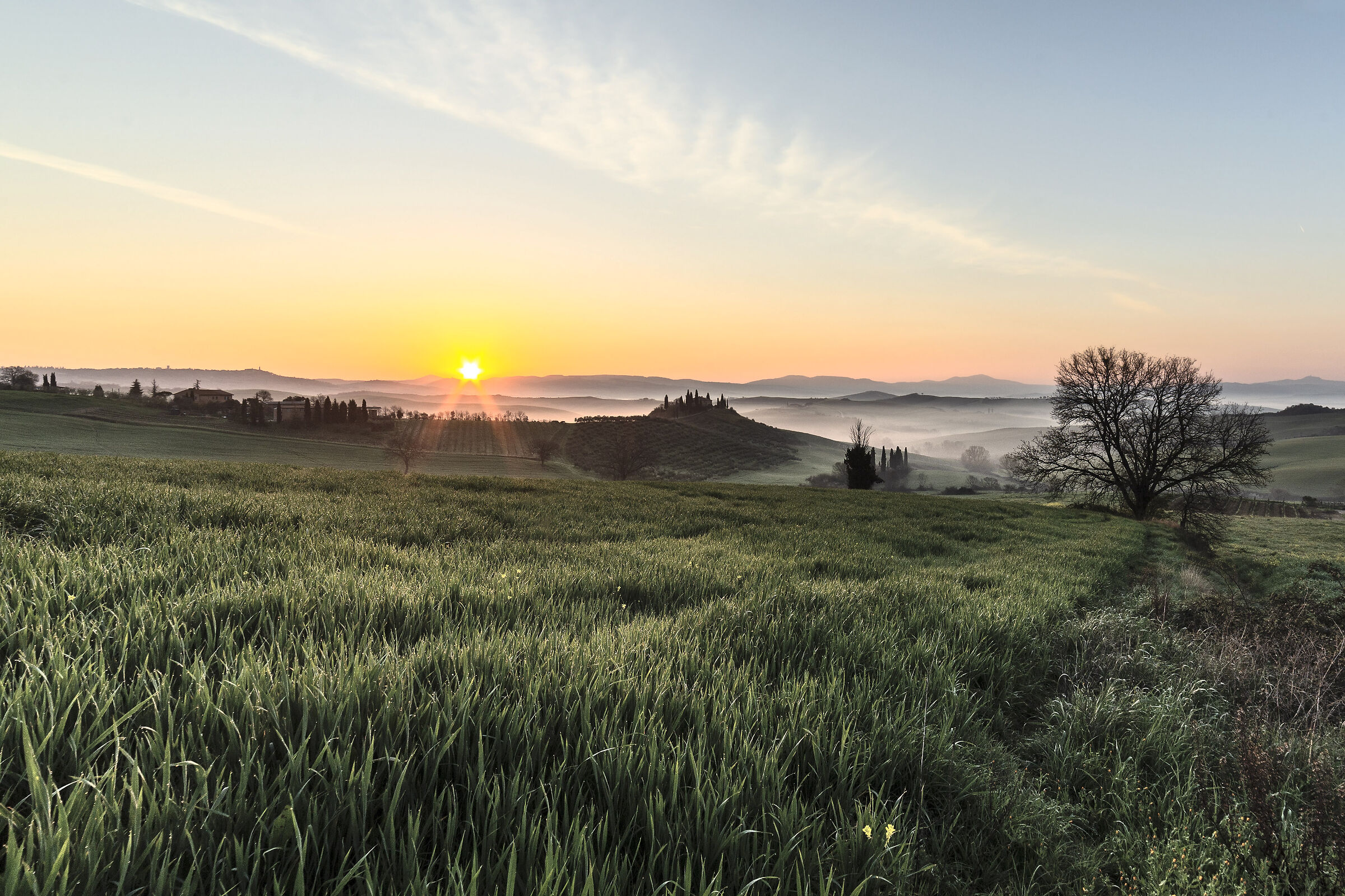 L'alba nella campagna senese