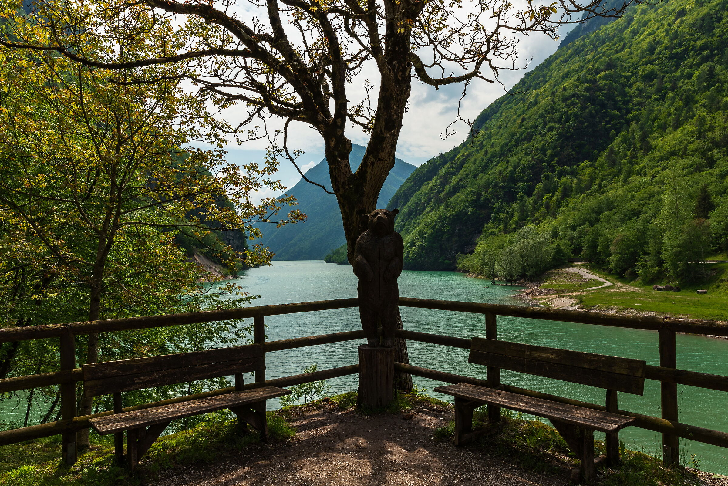 Lago Del Mis e l'orso bubu ;-)