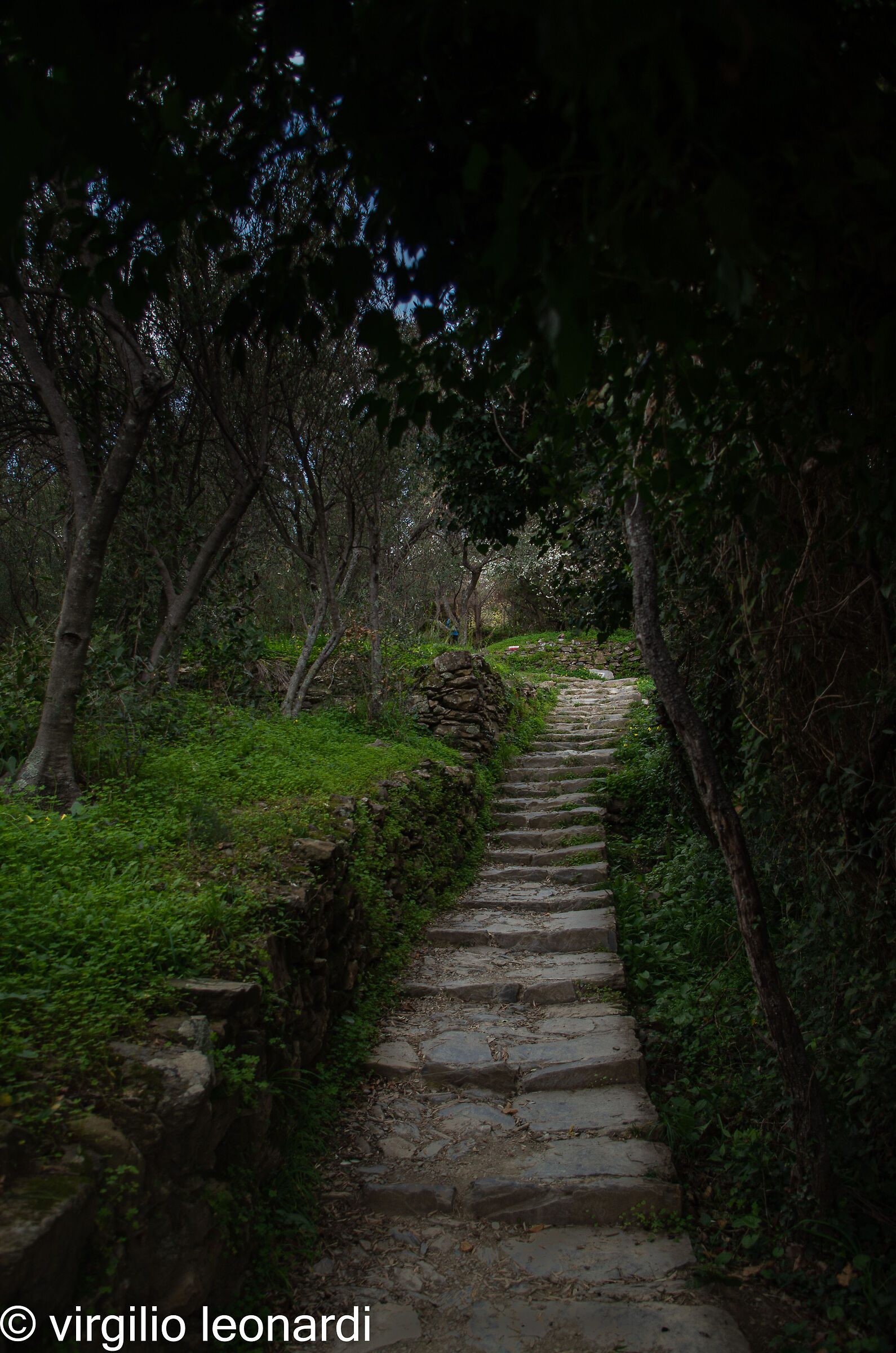 Corniglia, Cinque Terra